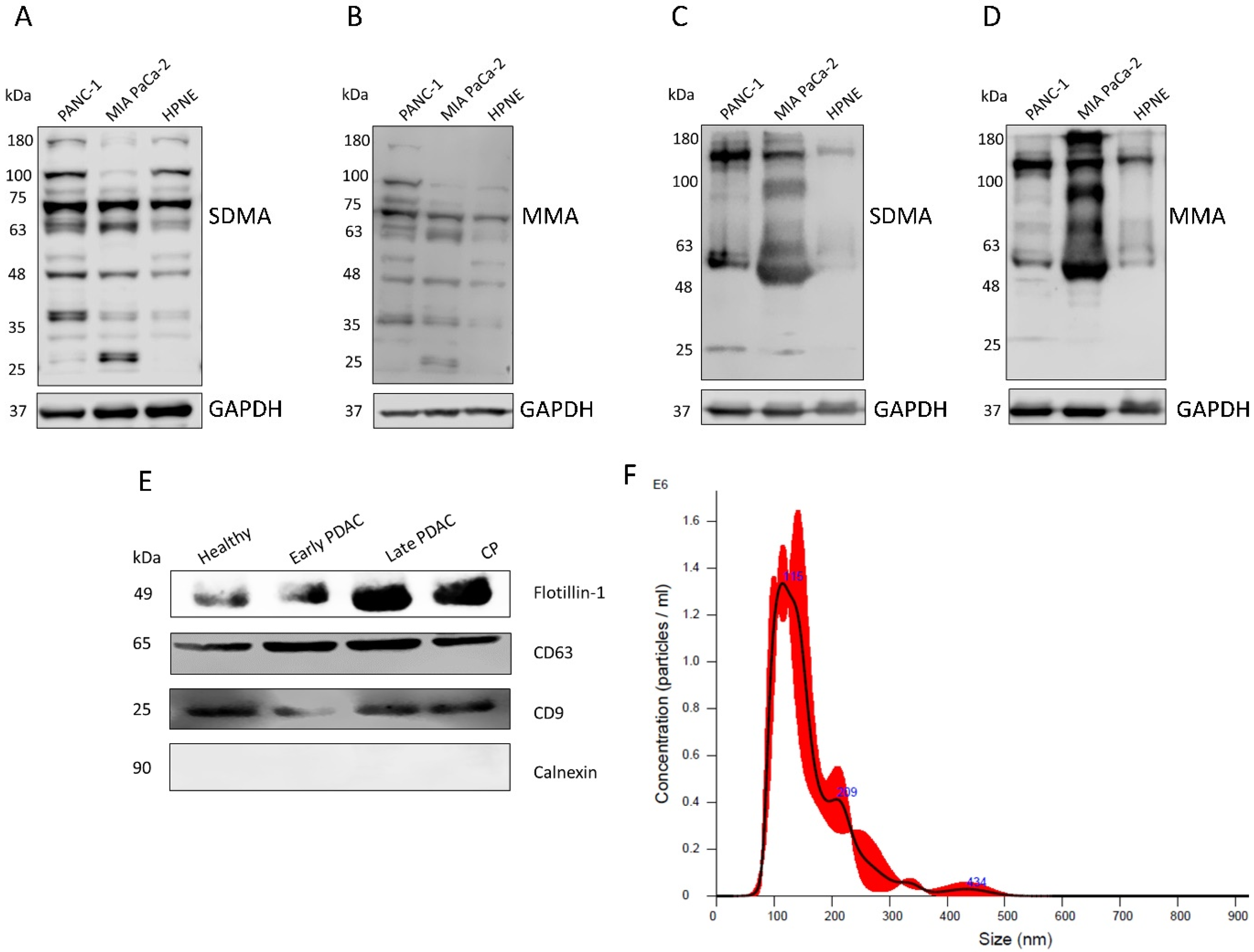 Cancers 16 00654 g001