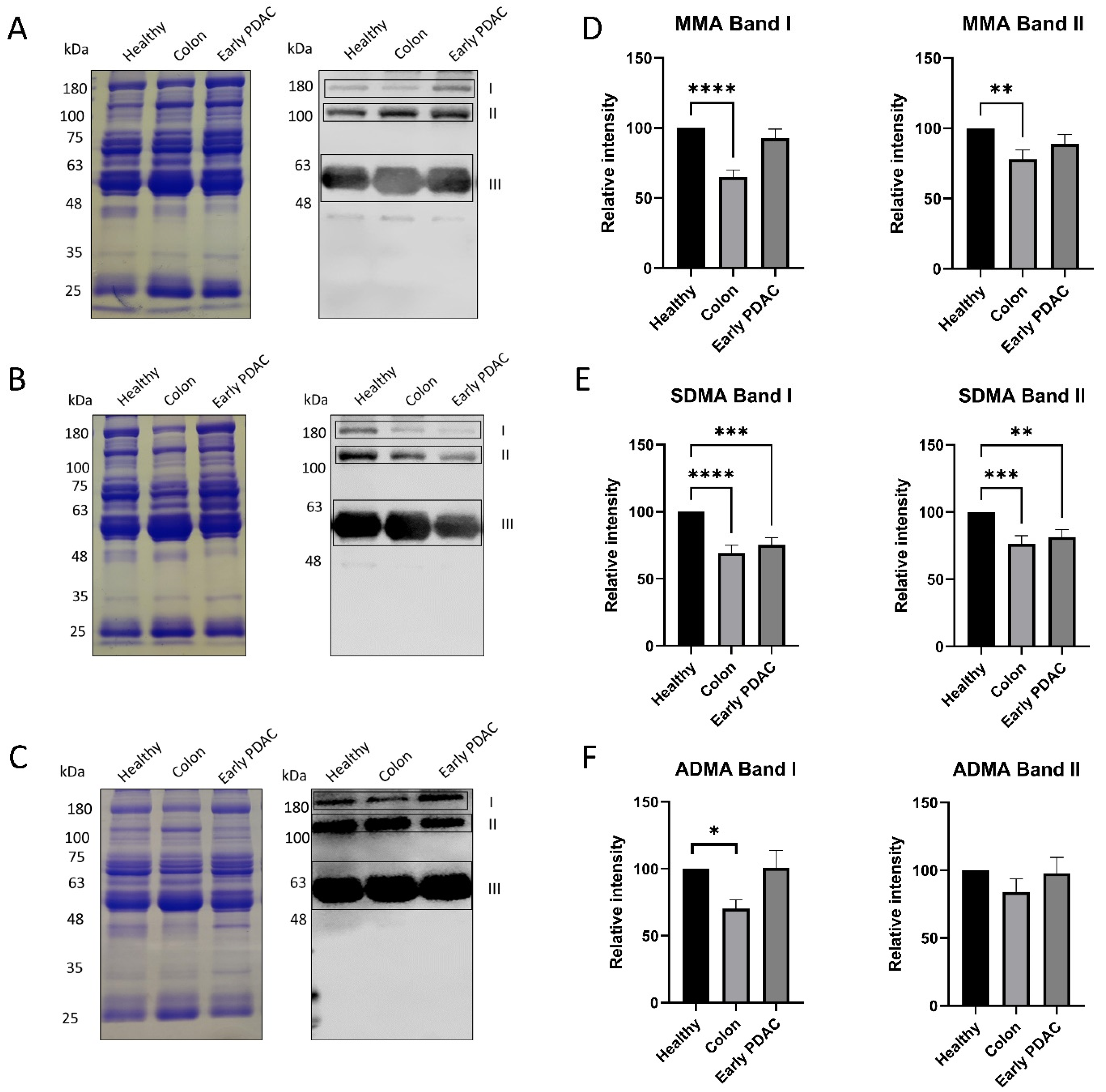 Cancers 16 00654 g002