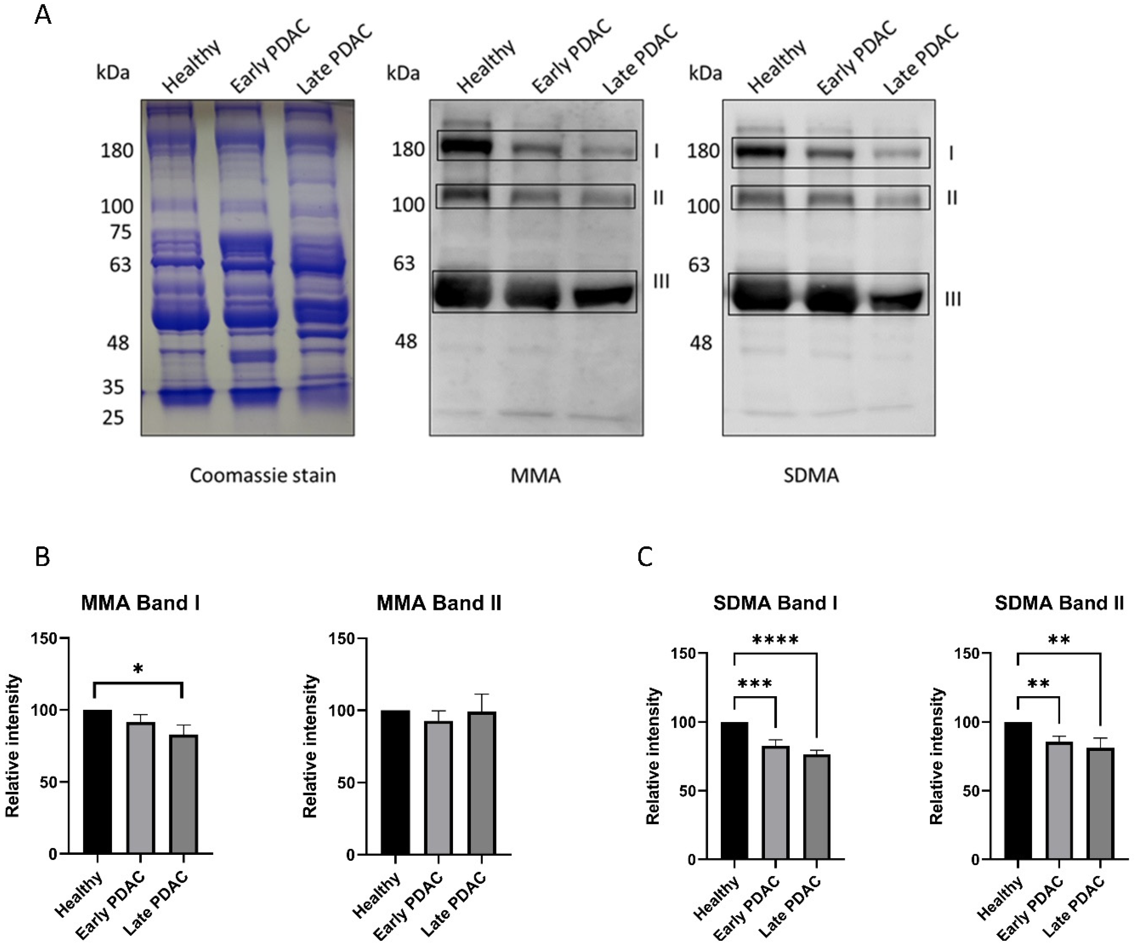 Cancers 16 00654 g003