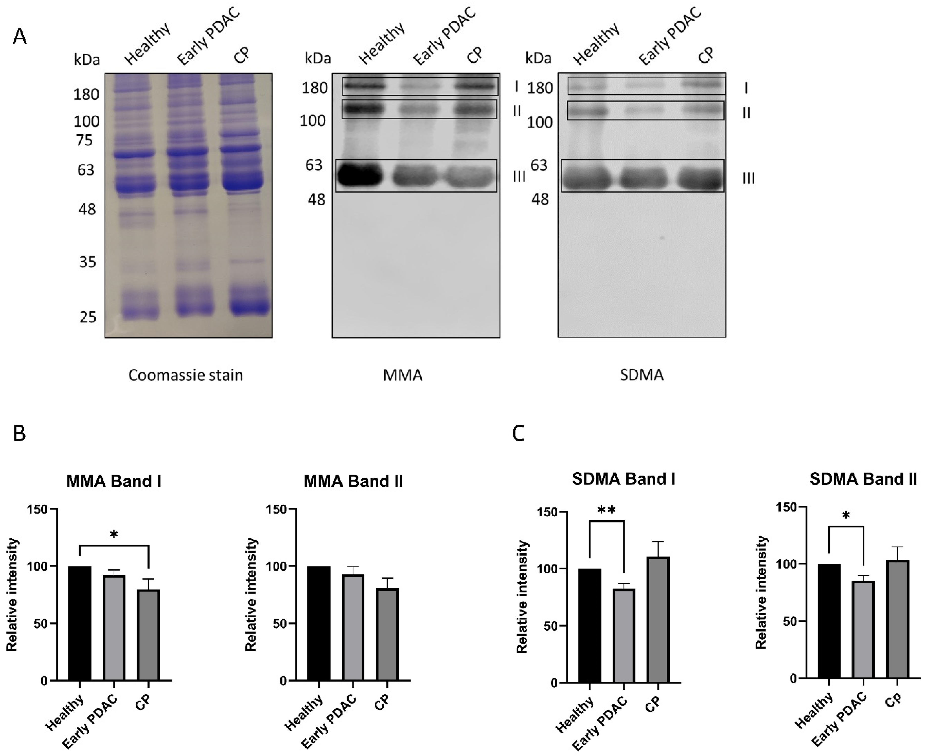 Cancers 16 00654 g004