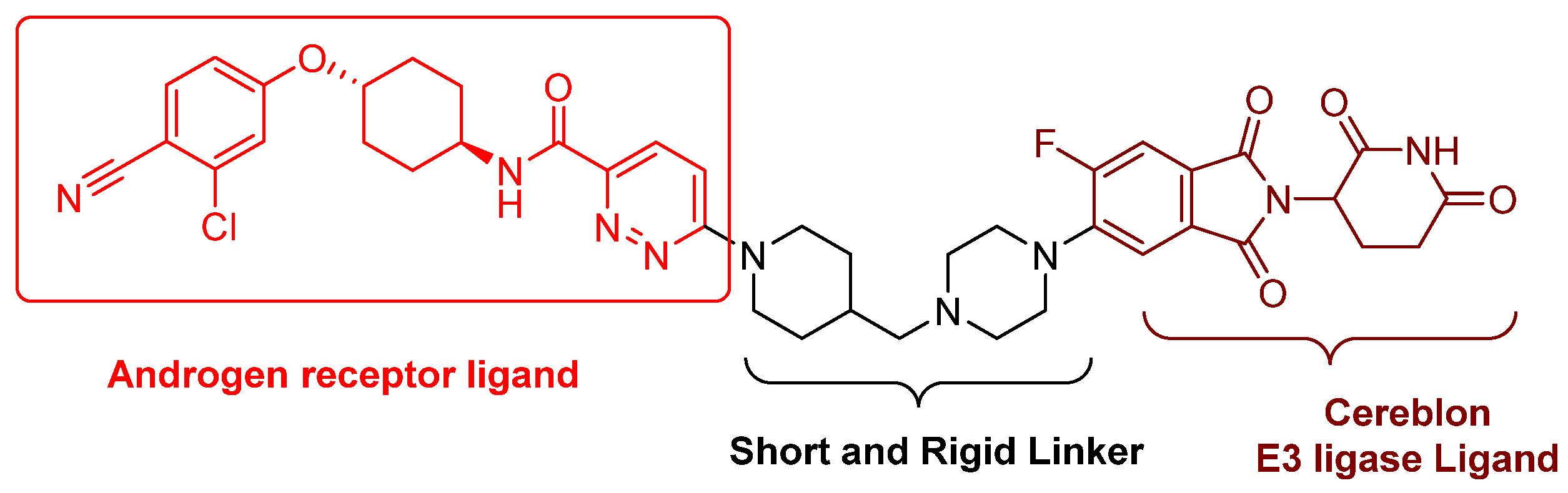Cancers 16 00663 g003