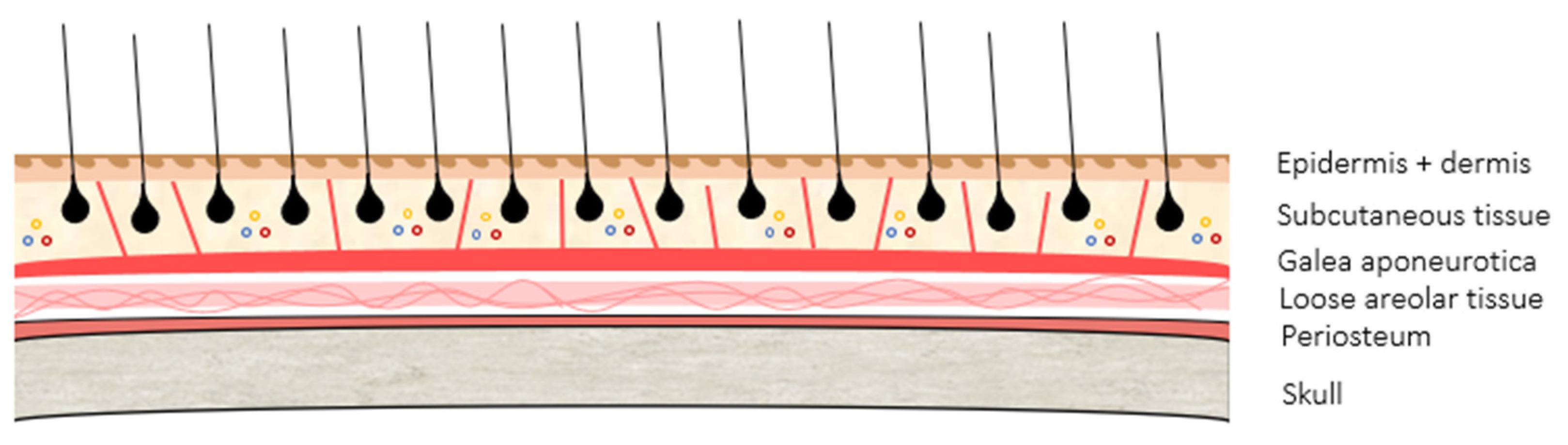 Cancers 16 00664 g001