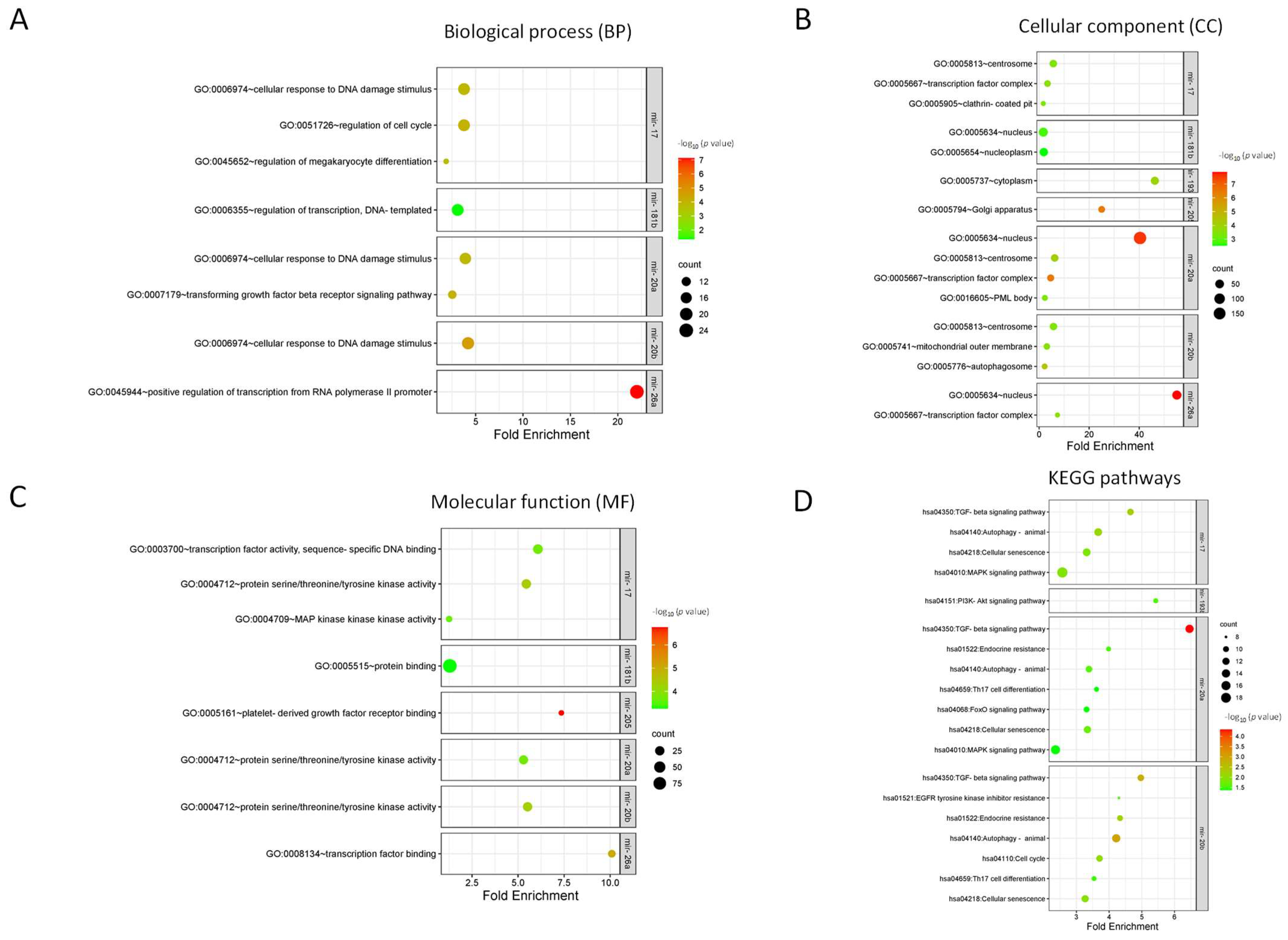 Cancers 16 00665 g001