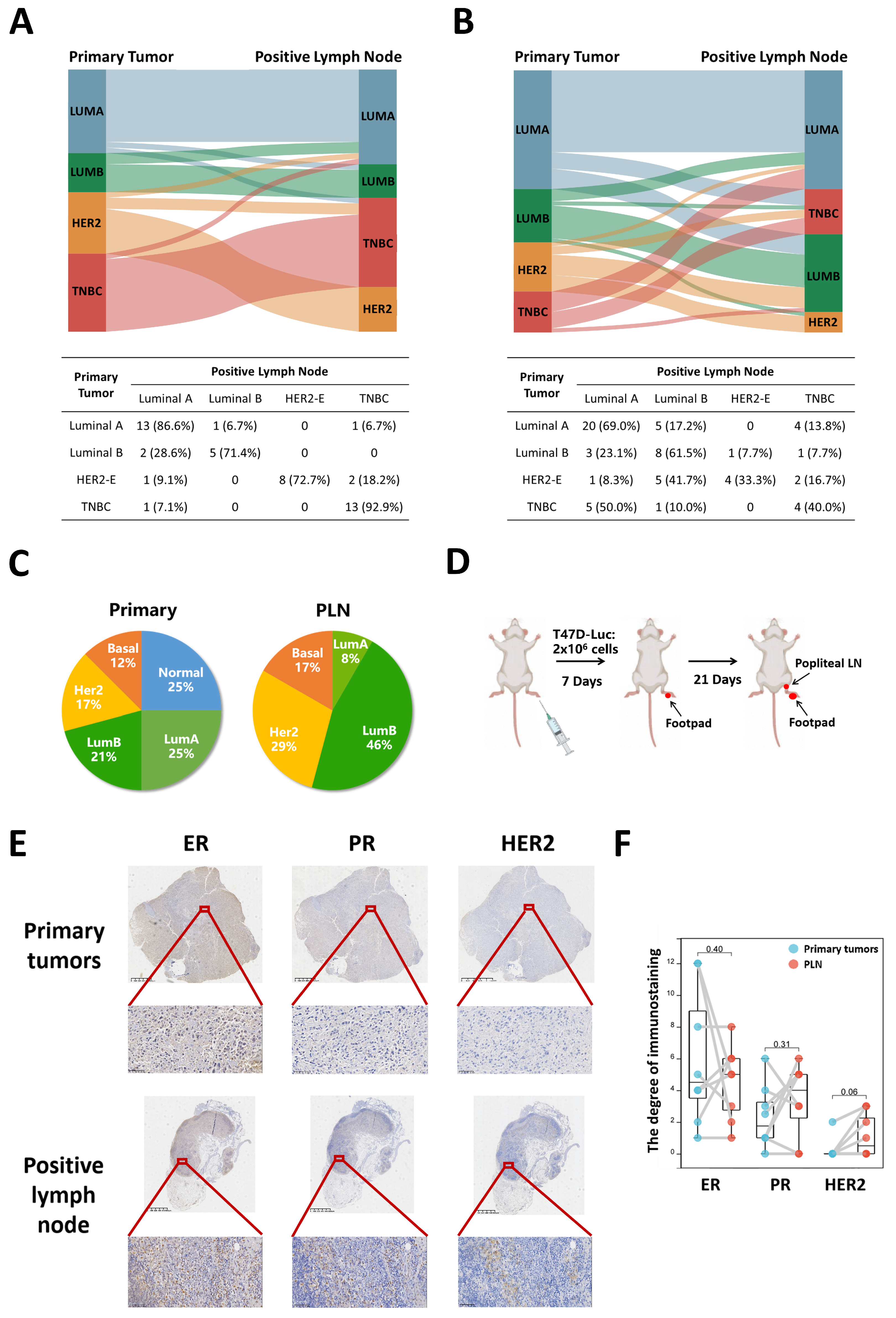 Cancers 16 00678 g001