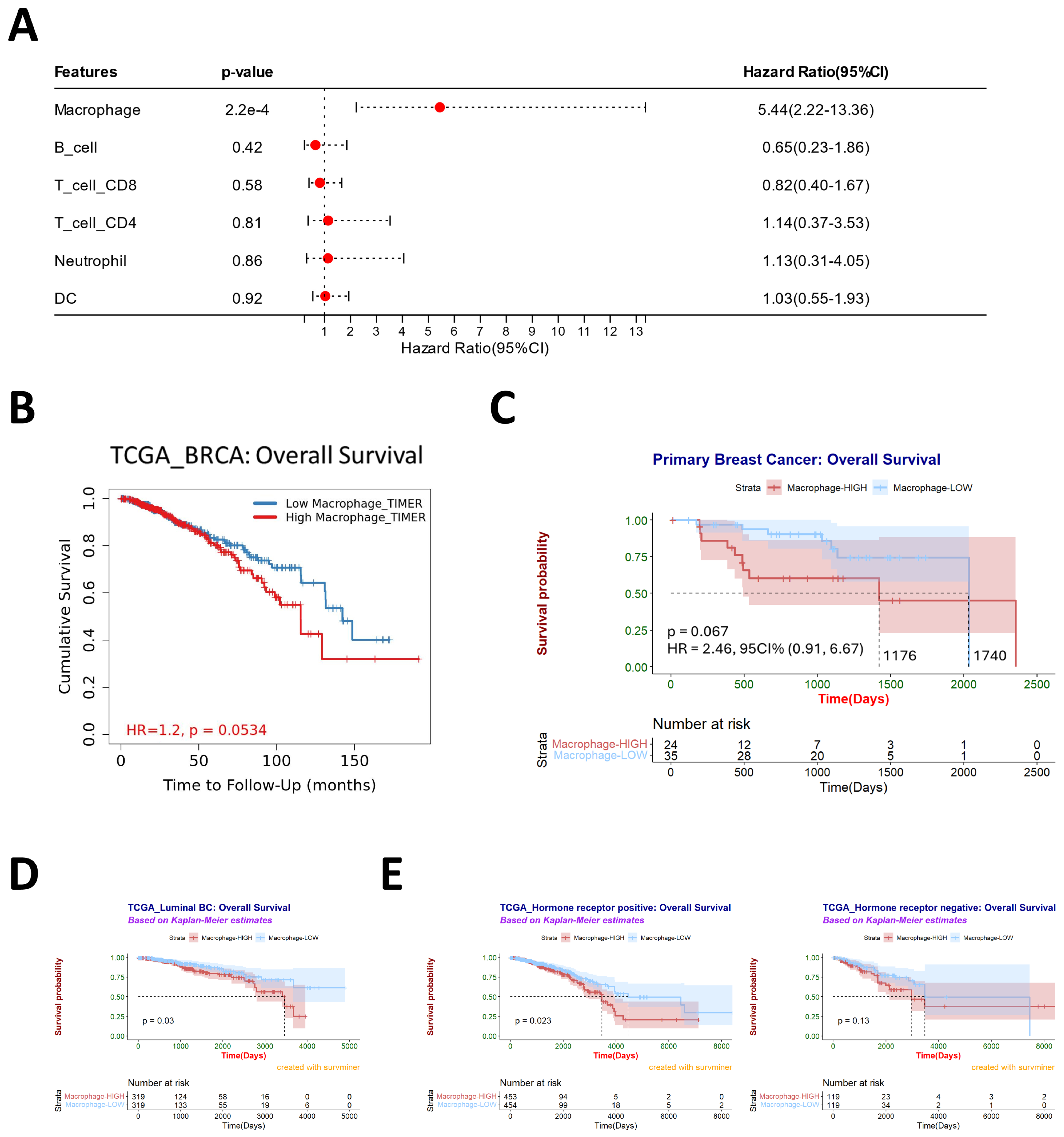Cancers 16 00678 g002