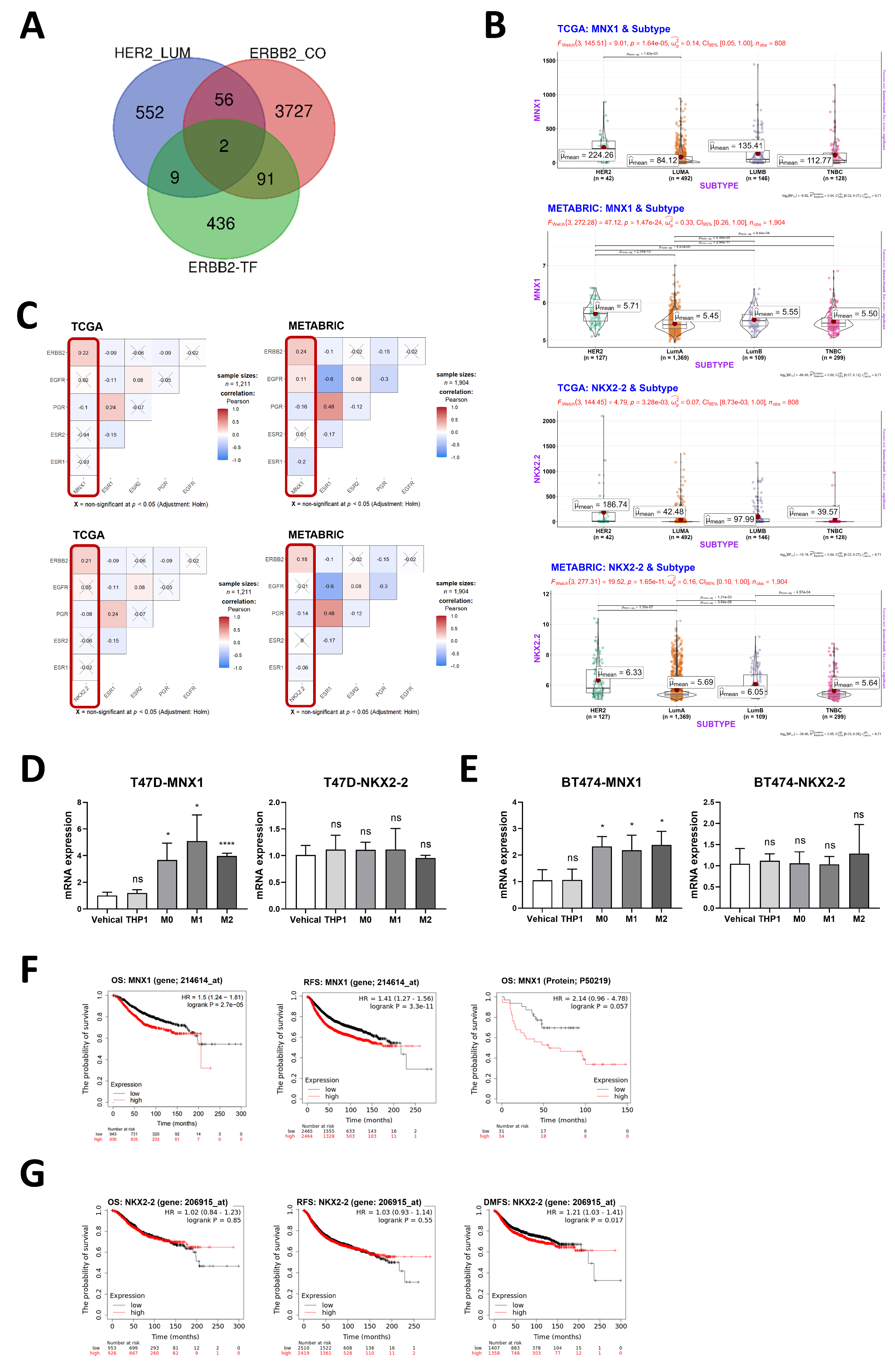Cancers 16 00678 g005