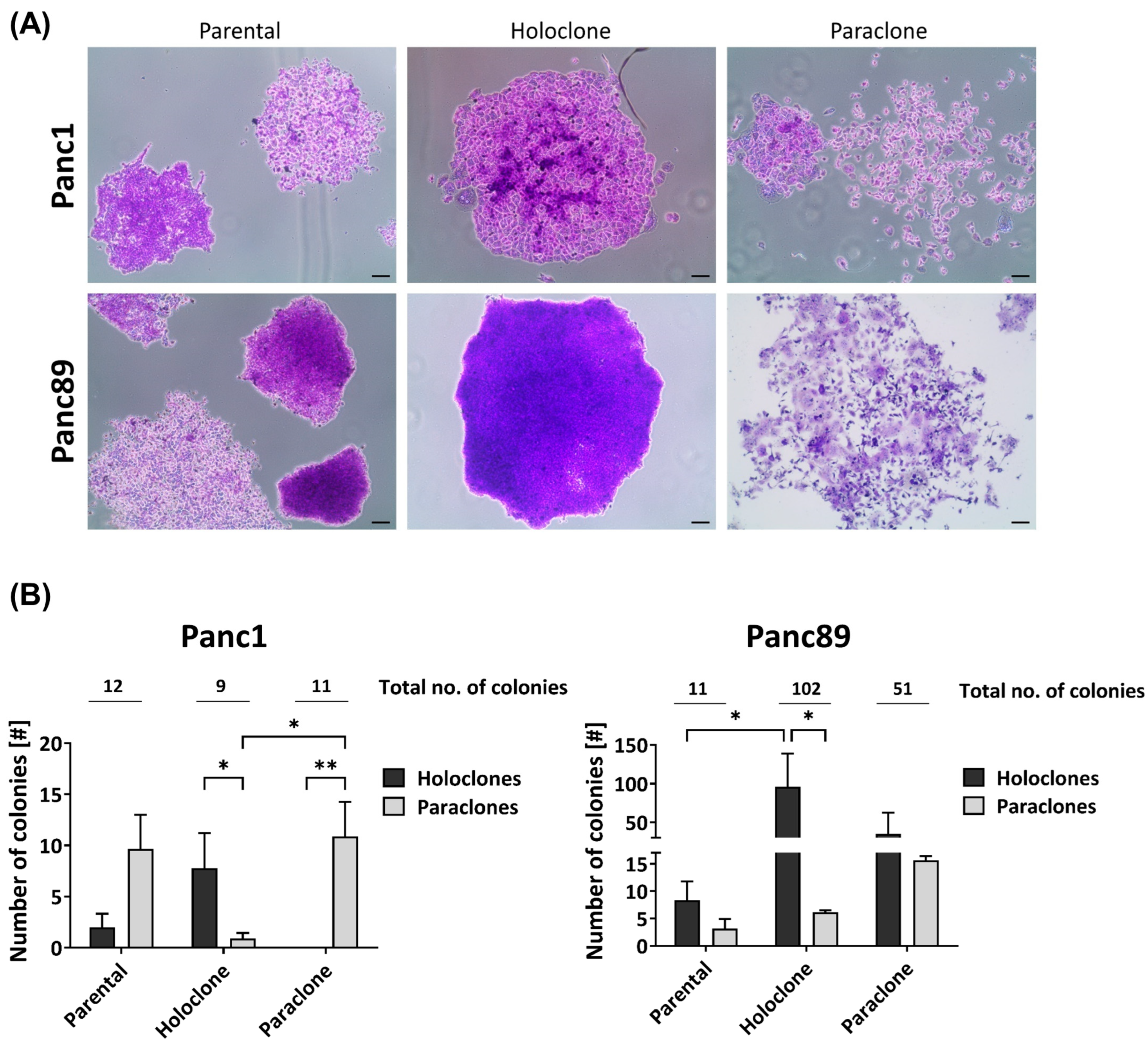 Cancers 16 00686 g001 Cancers 16 00686 g001