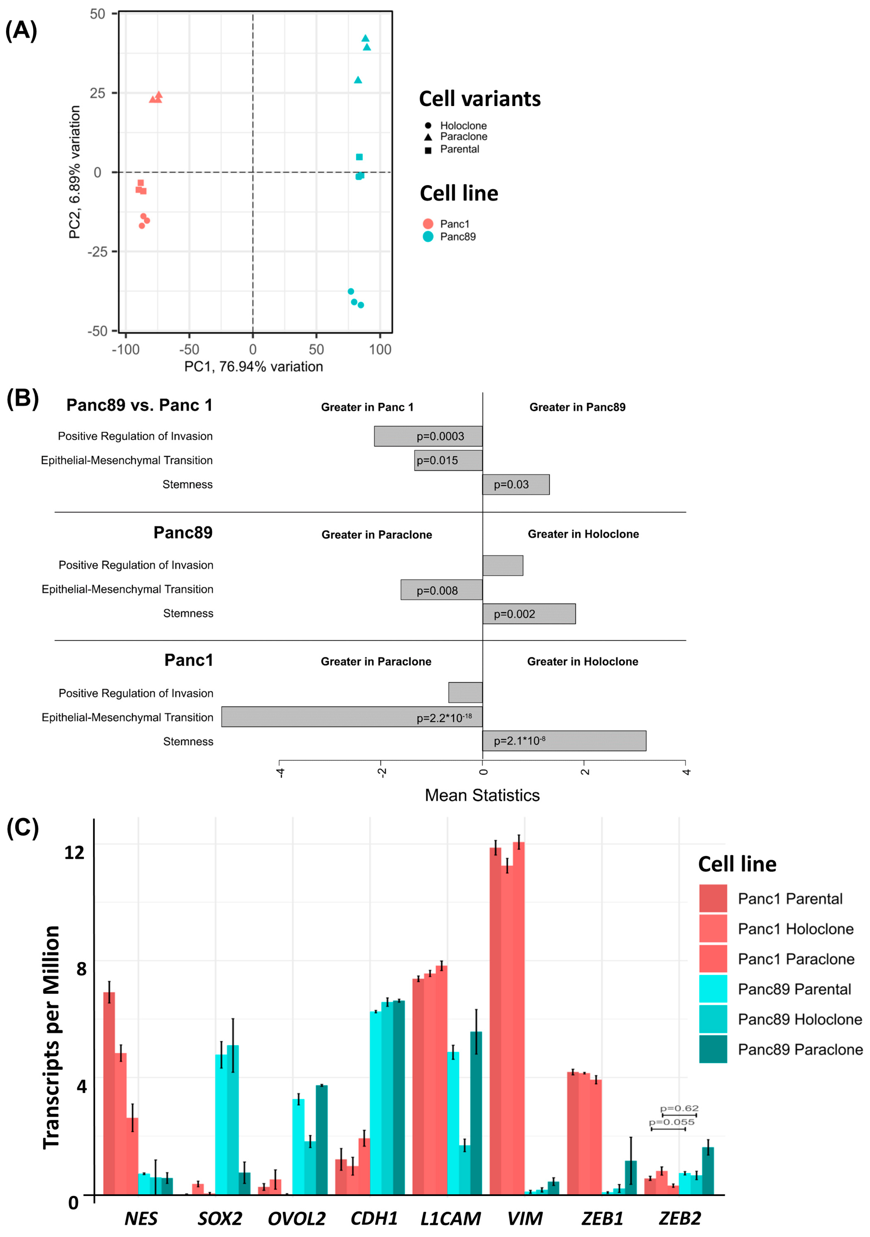 Cancers 16 00686 g002a Cancers 16 00686 g002a