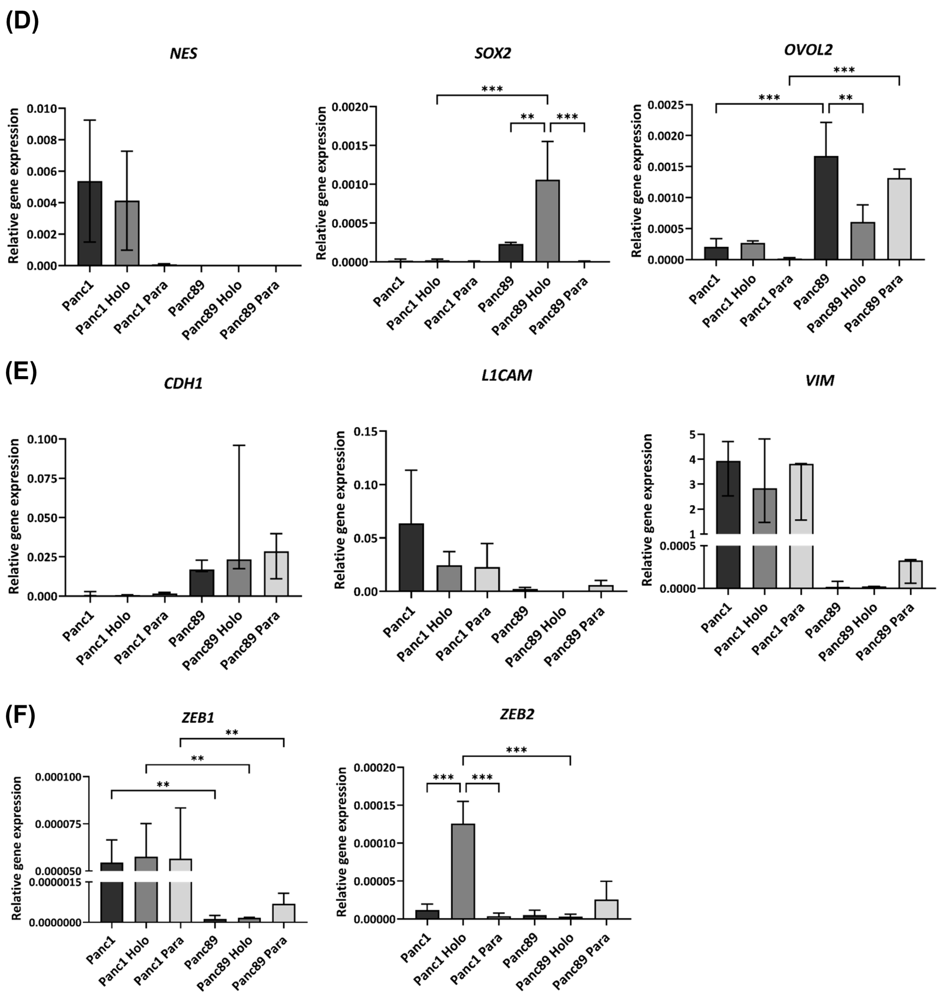 Cancers 16 00686 g002b Cancers 16 00686 g002b