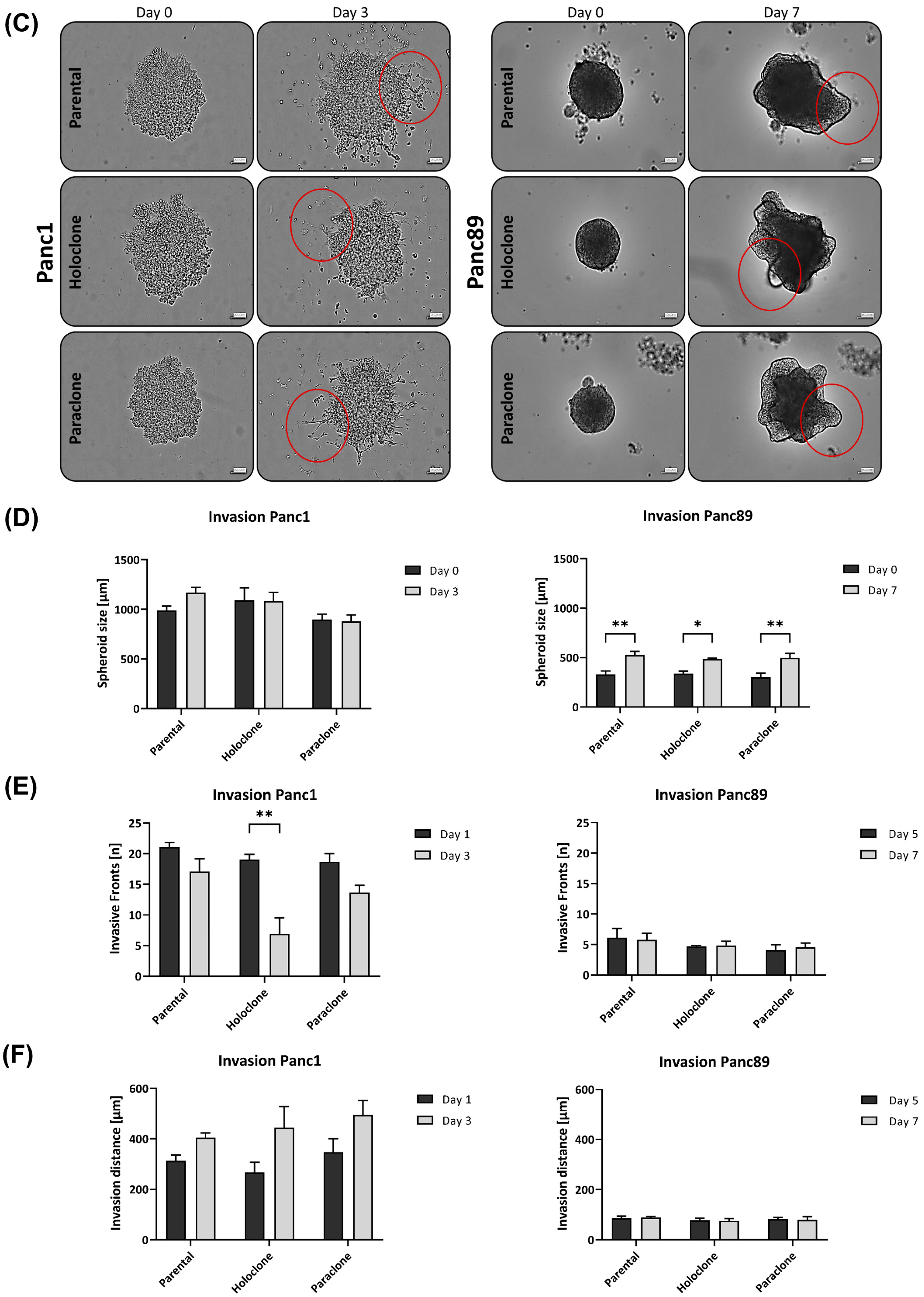Cancers 16 00686 g004b Cancers 16 00686 g004b