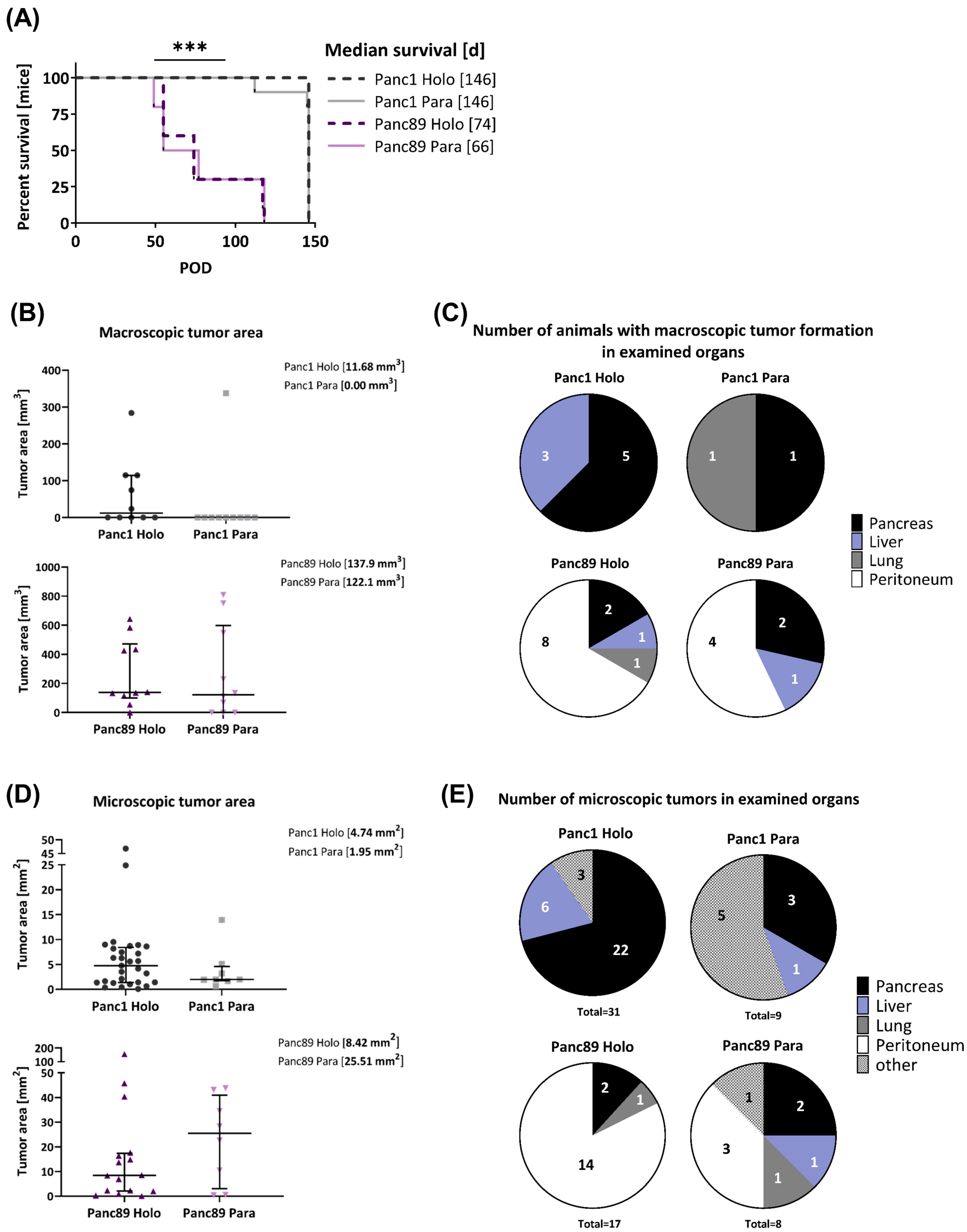 Cancers 16 00686 g005 Cancers 16 00686 g005