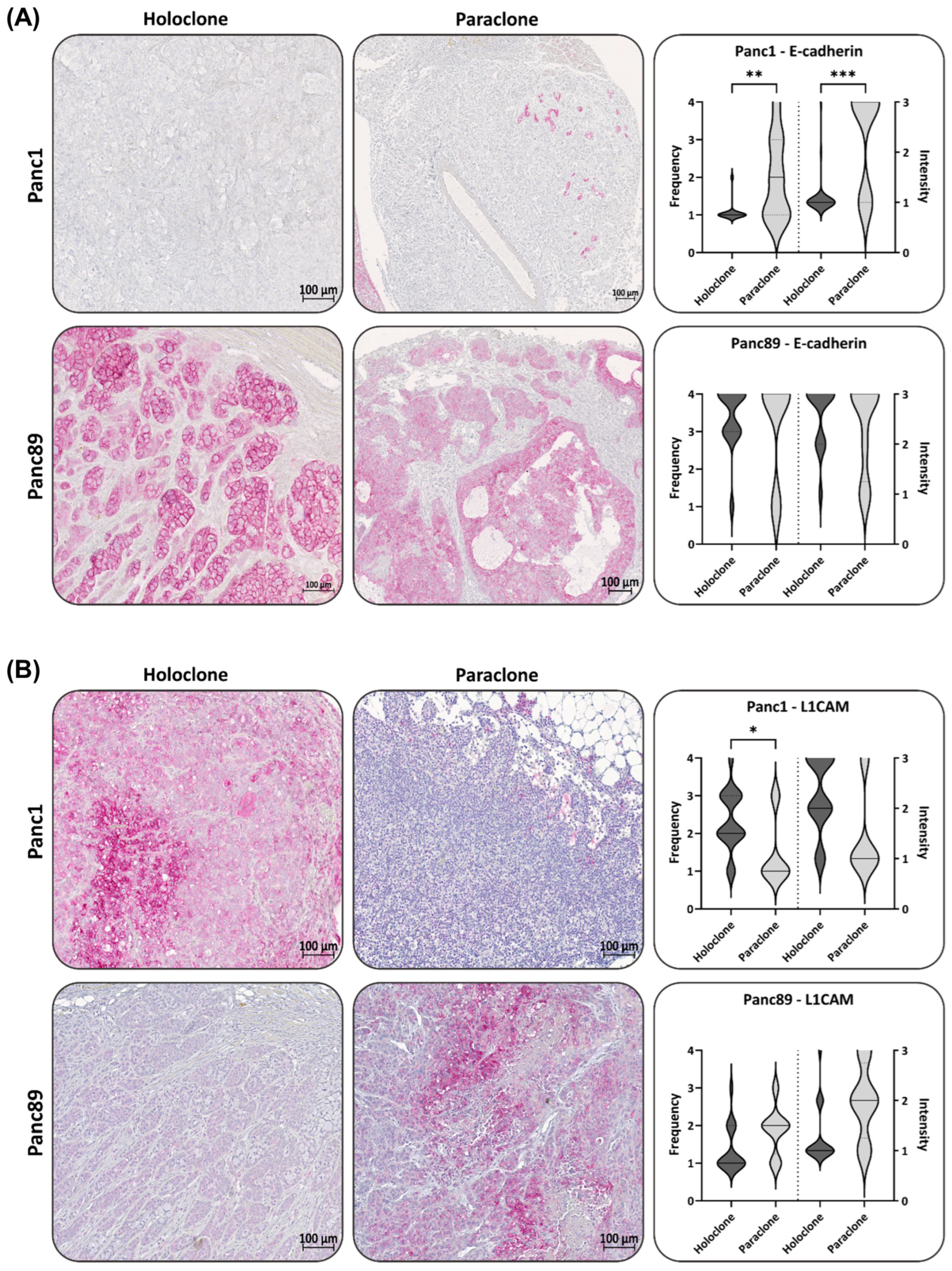 Cancers 16 00686 g006a Cancers 16 00686 g006a