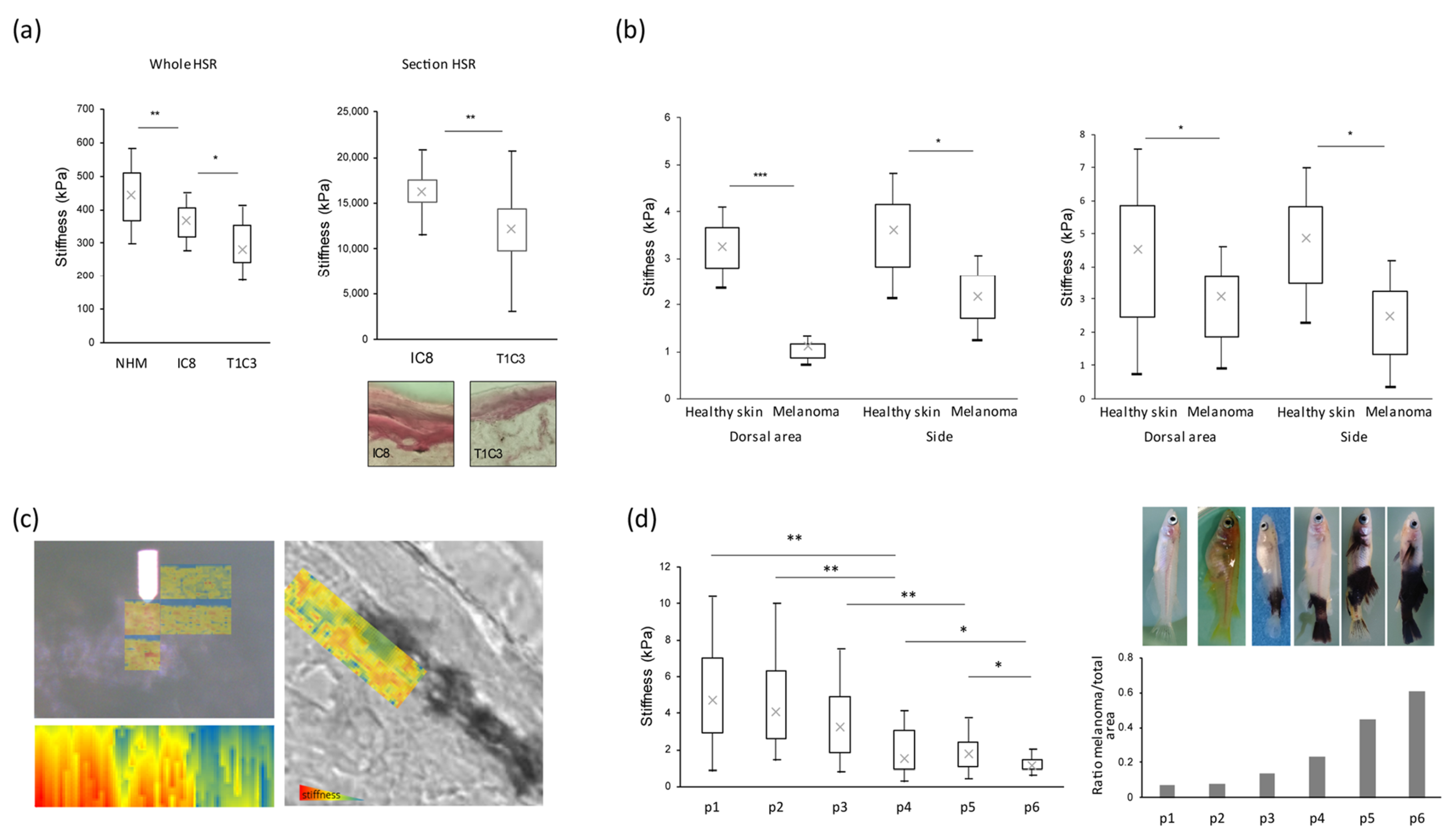 Cancers 16 00694 g001