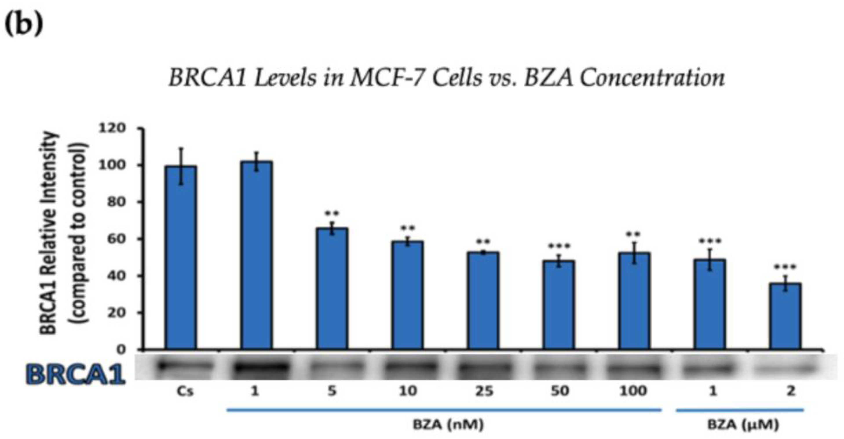 Cancers 16 00699 g002b