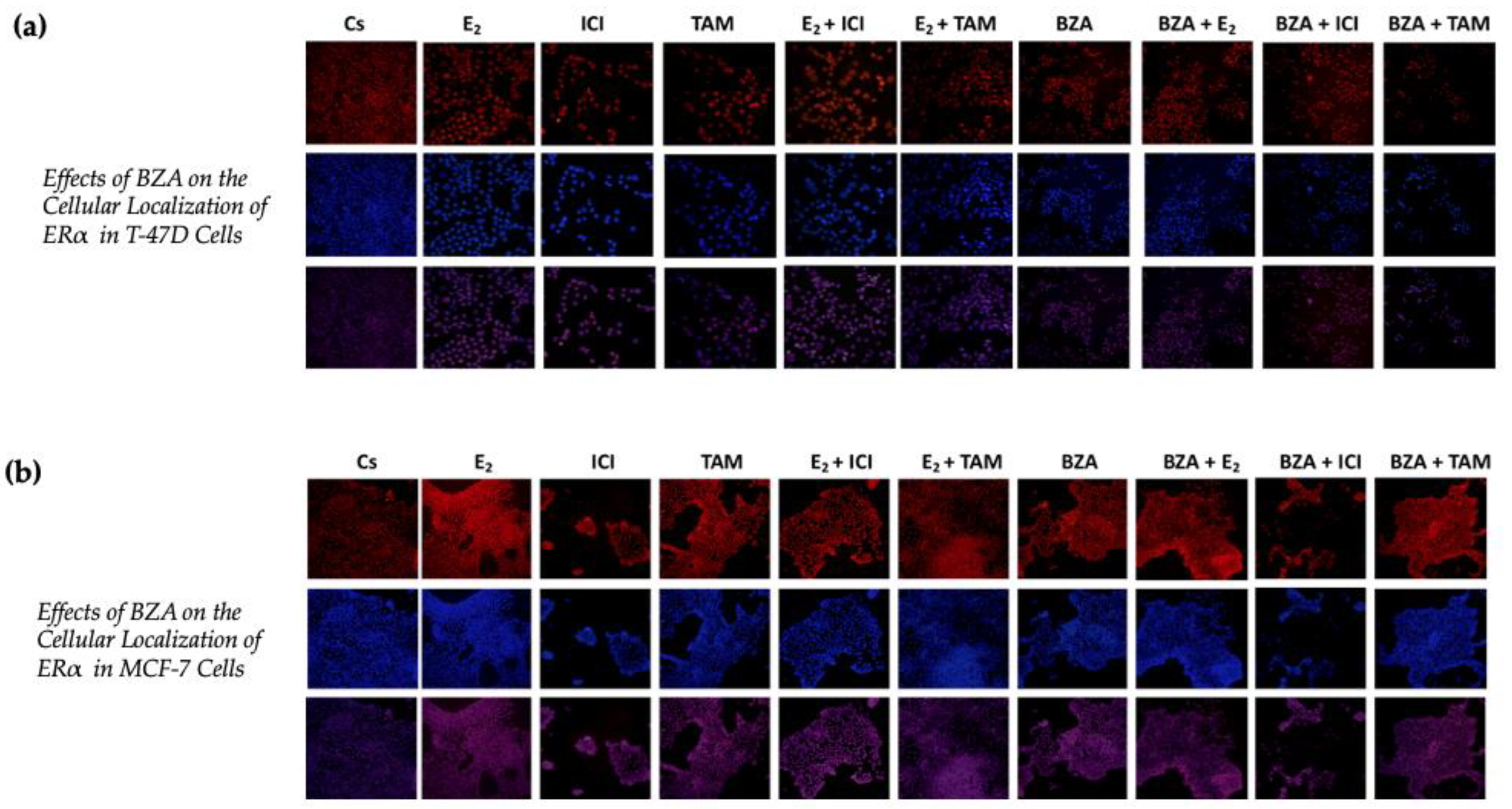 Cancers 16 00699 g007