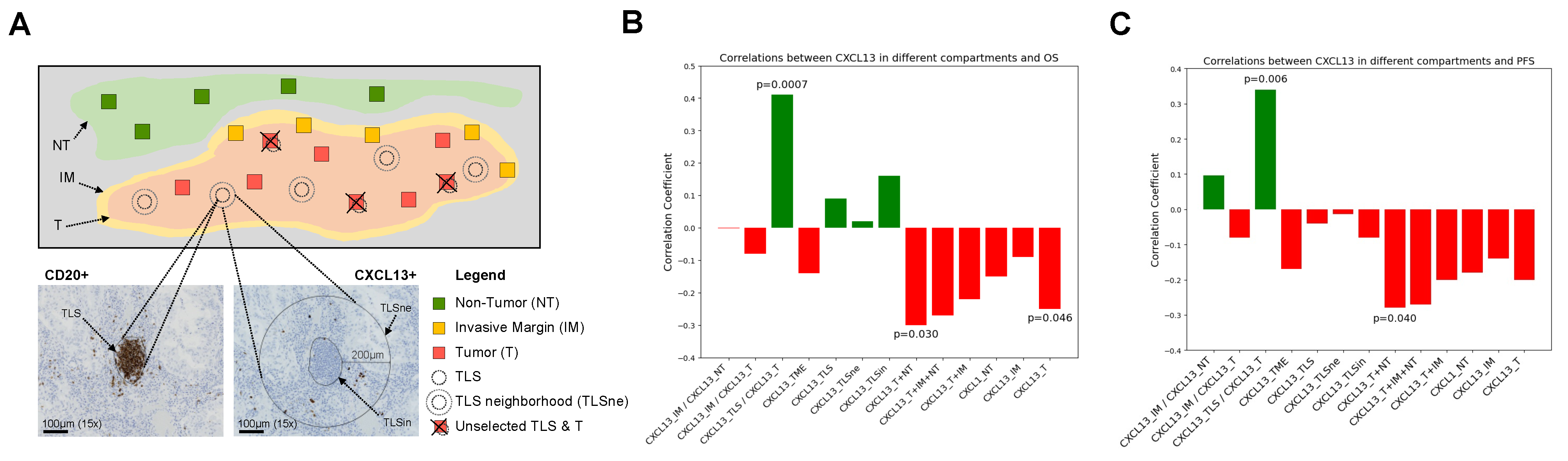 Cancers 16 00708 g001