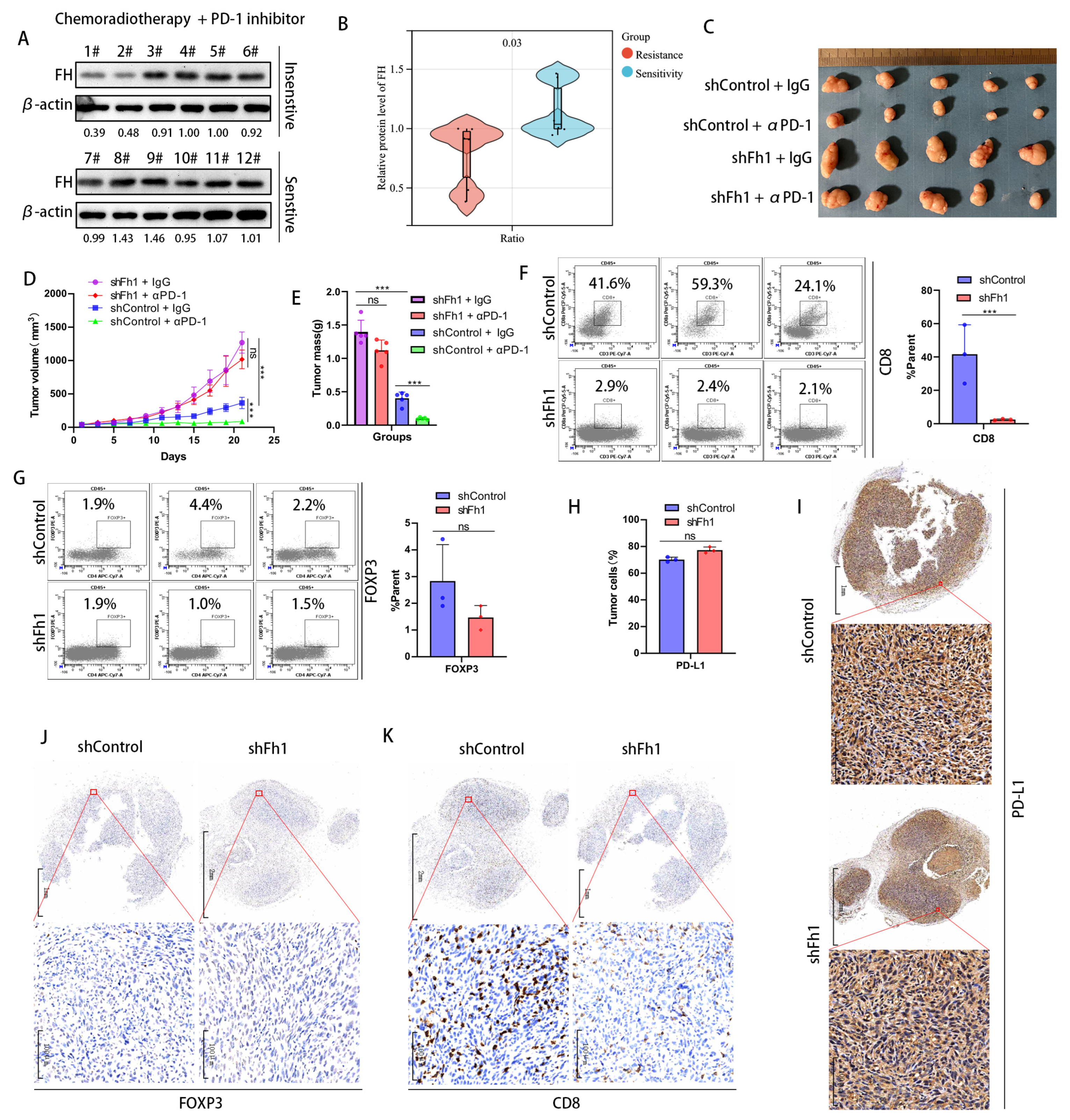 Cancers 16 00713 g003
