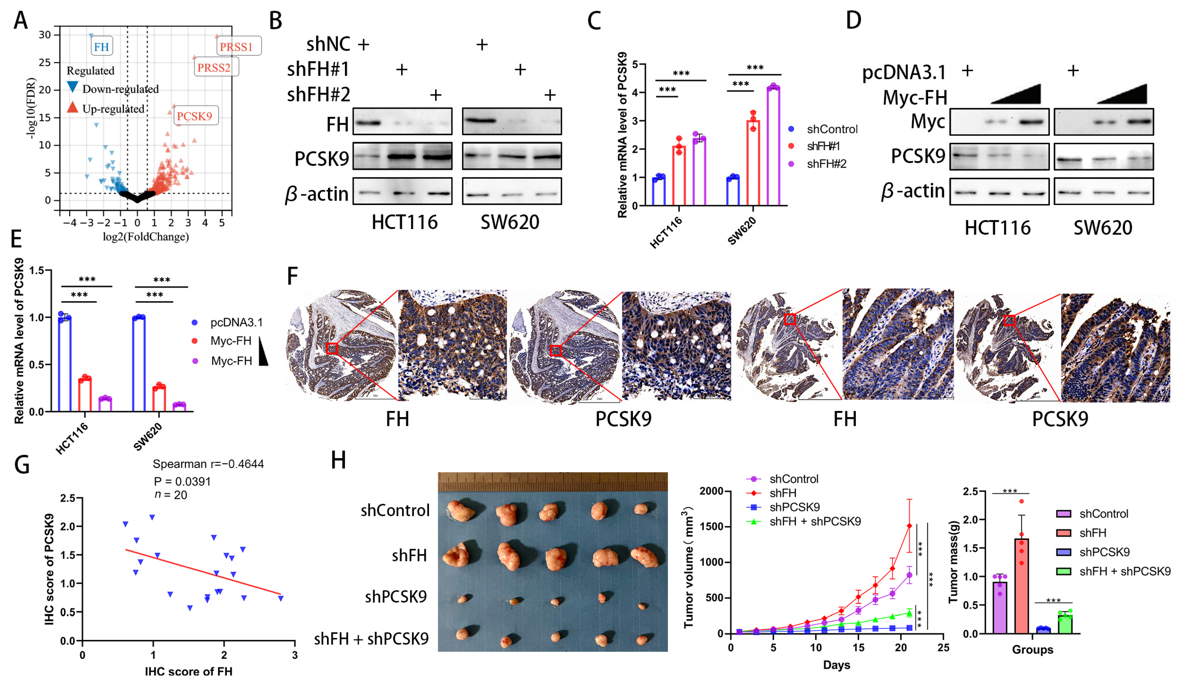 Cancers 16 00713 g004