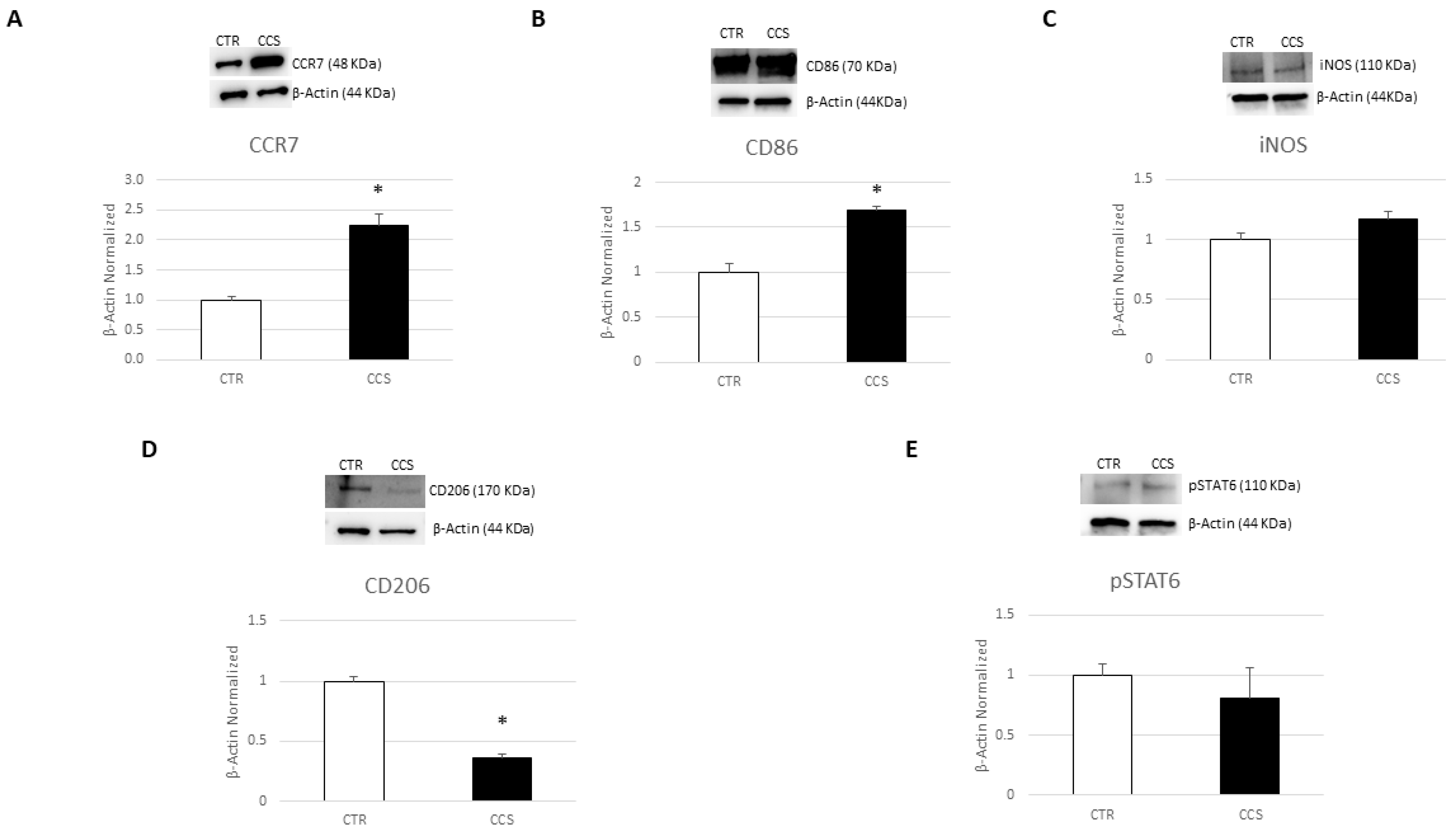 Cancers 16 00714 g001