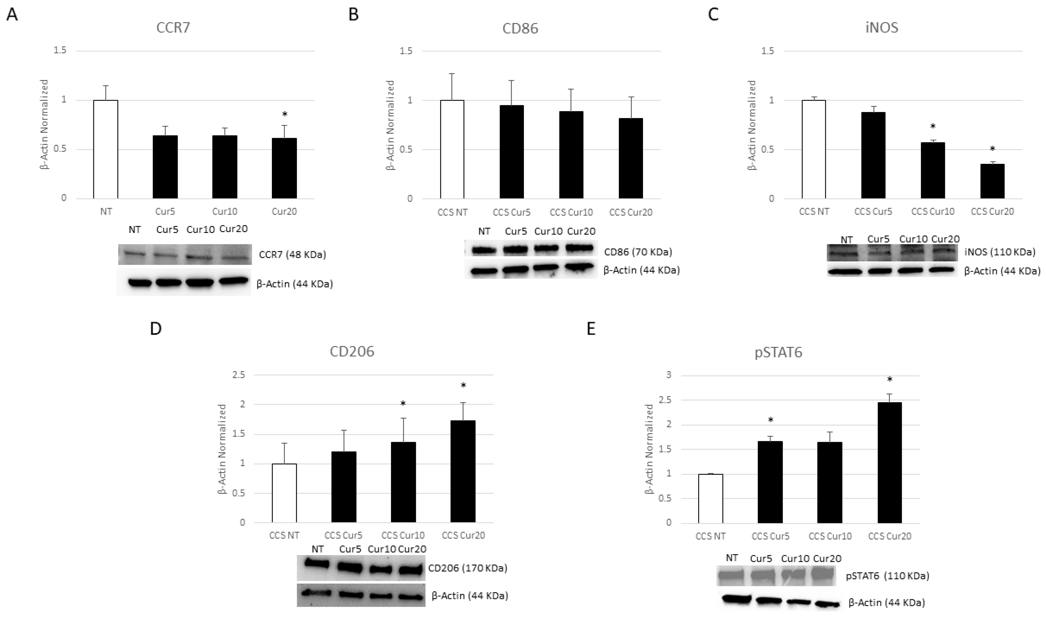 Cancers 16 00714 g006