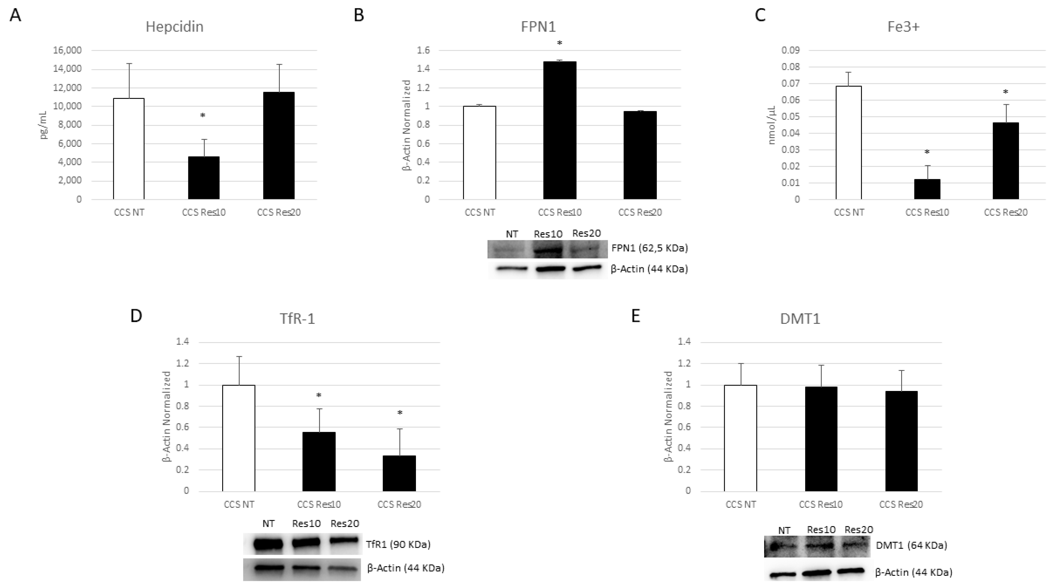 Cancers 16 00714 g011
