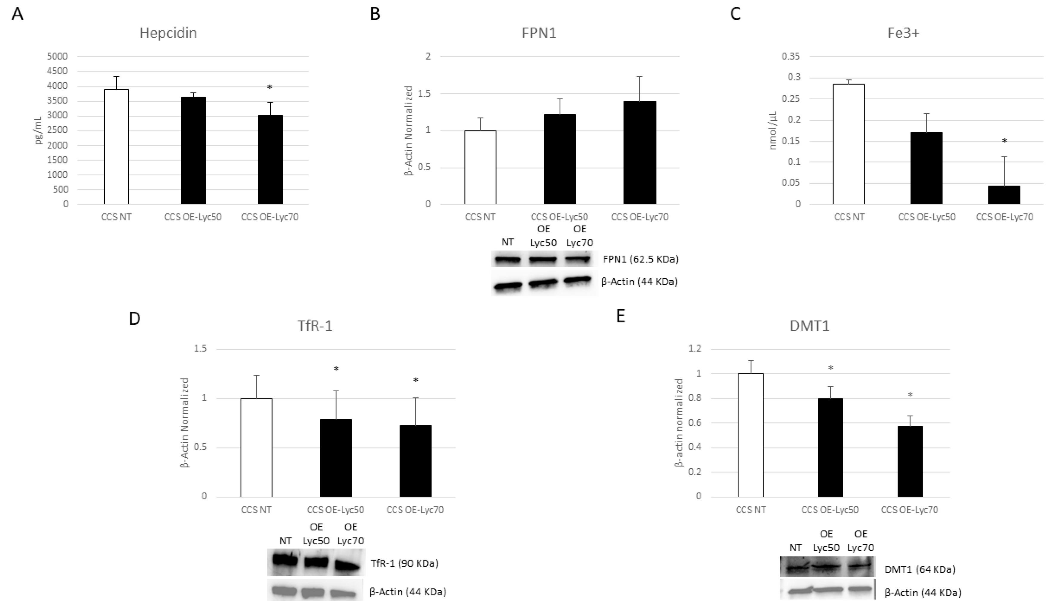 Cancers 16 00714 g013