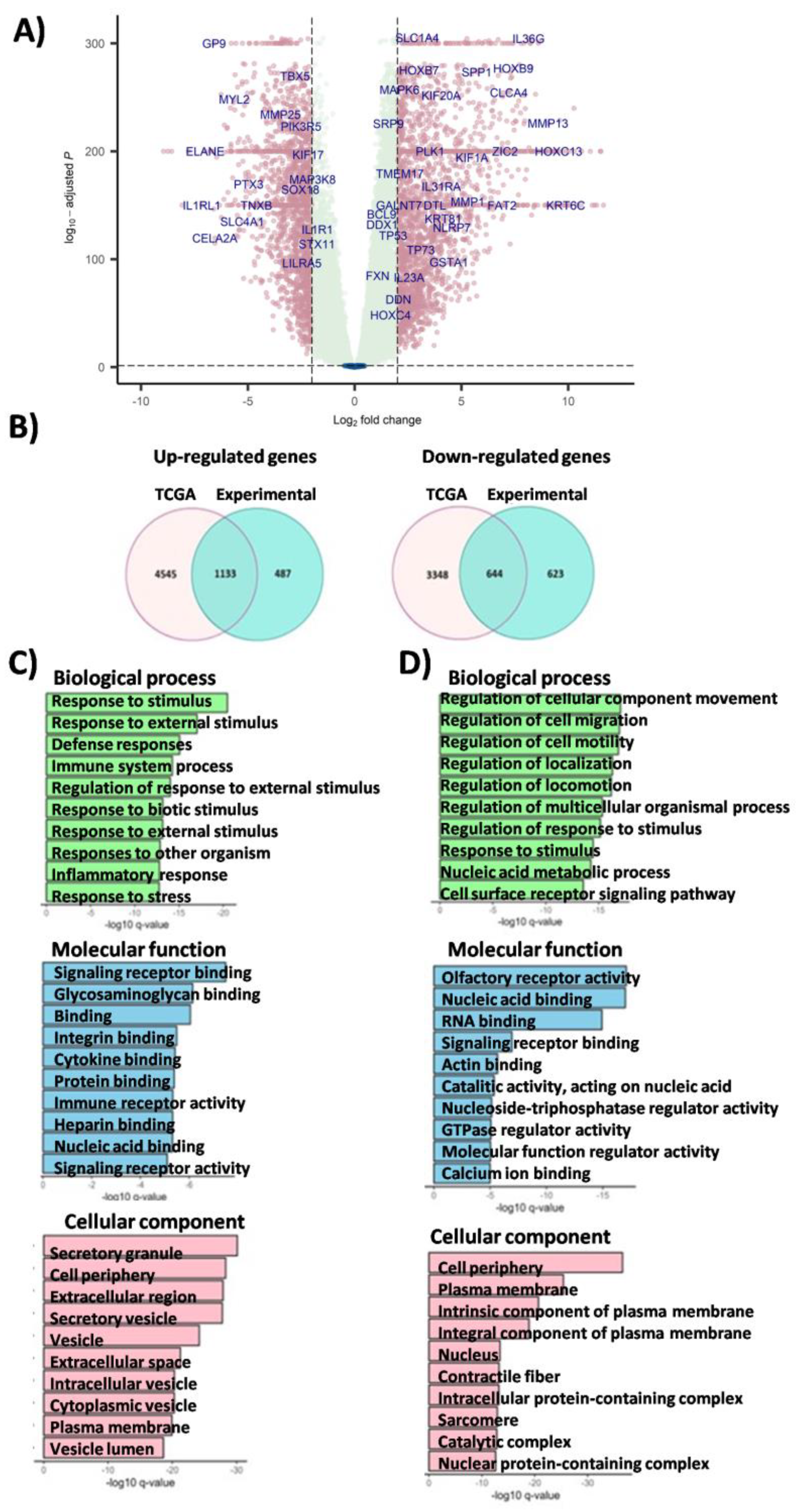 Cancers 16 00720 g003 Cancers 16 00720 g003