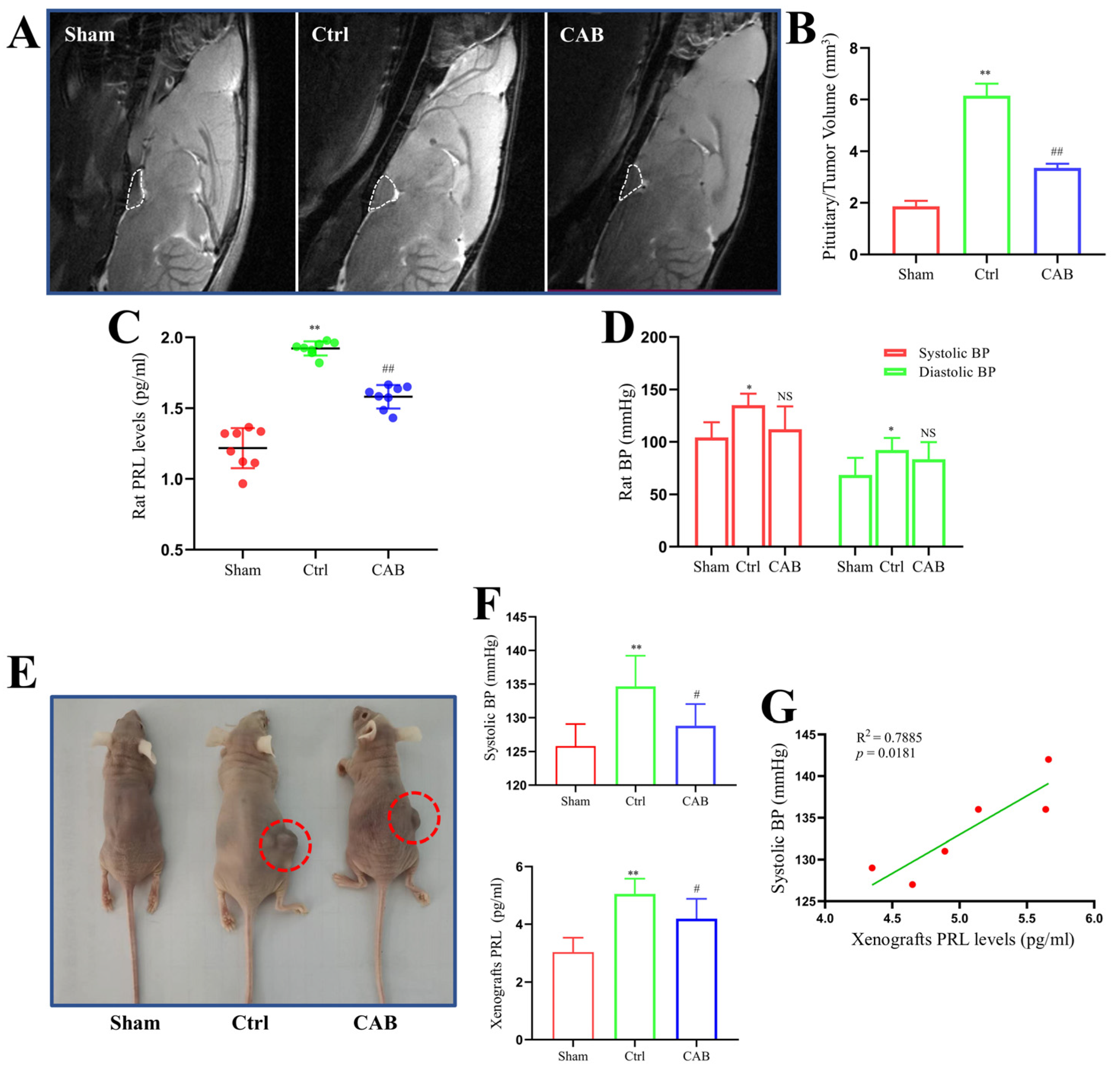 Cancers 16 00726 g003 Cancers 16 00726 g003