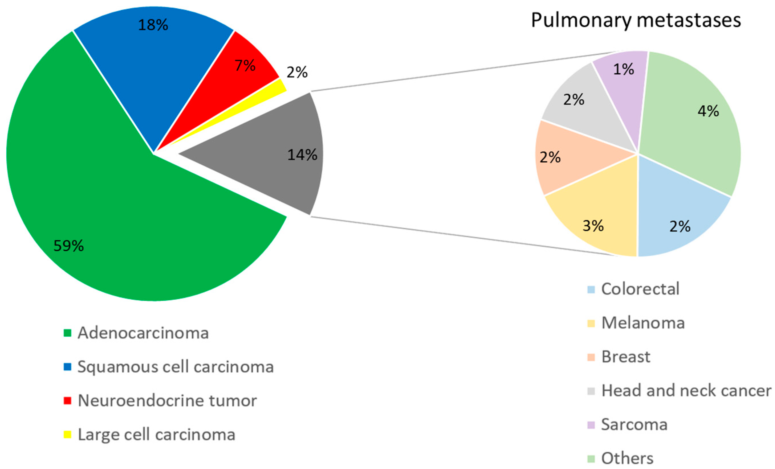 Cancers 16 00729 g002