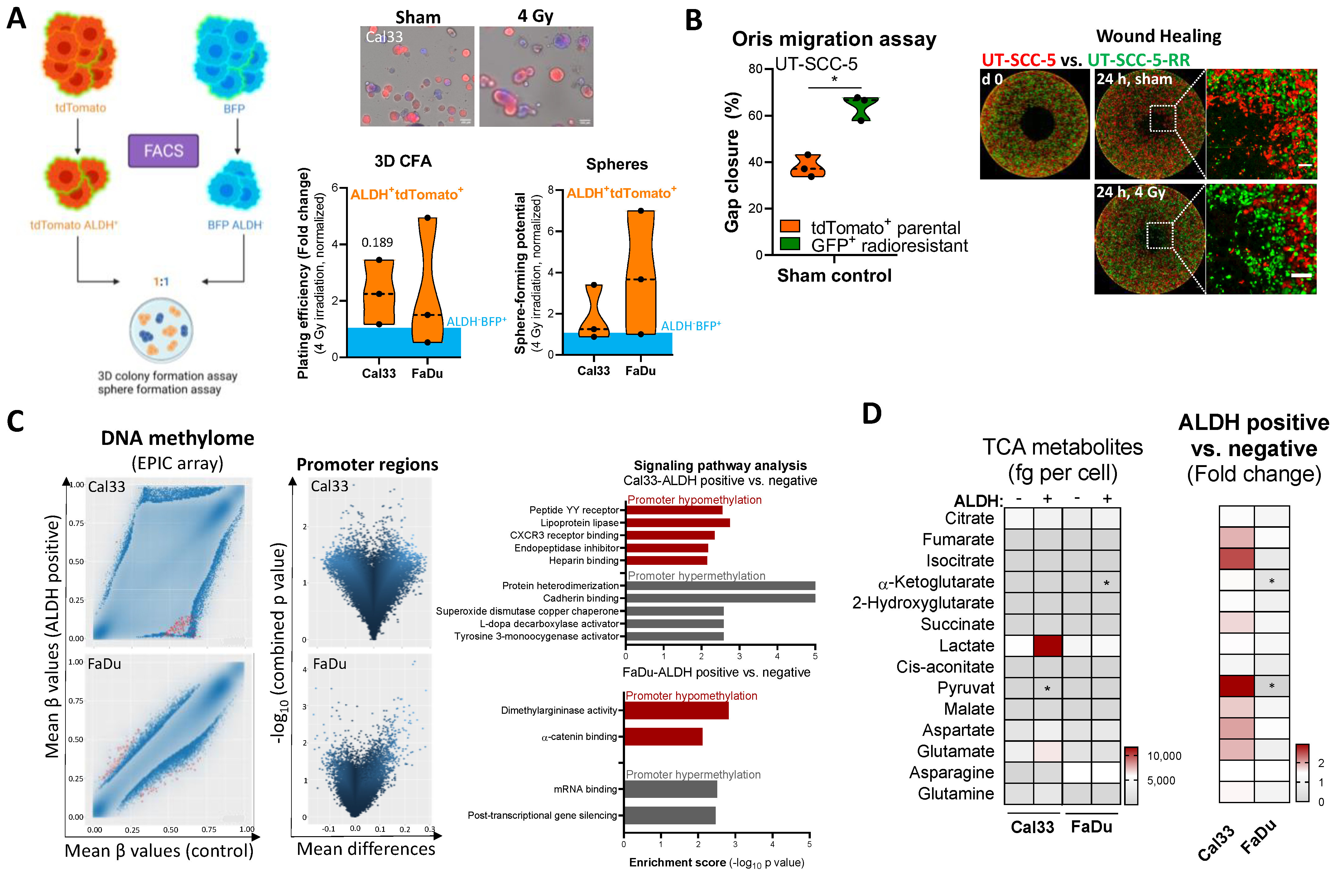 Cancers 16 00730 g002