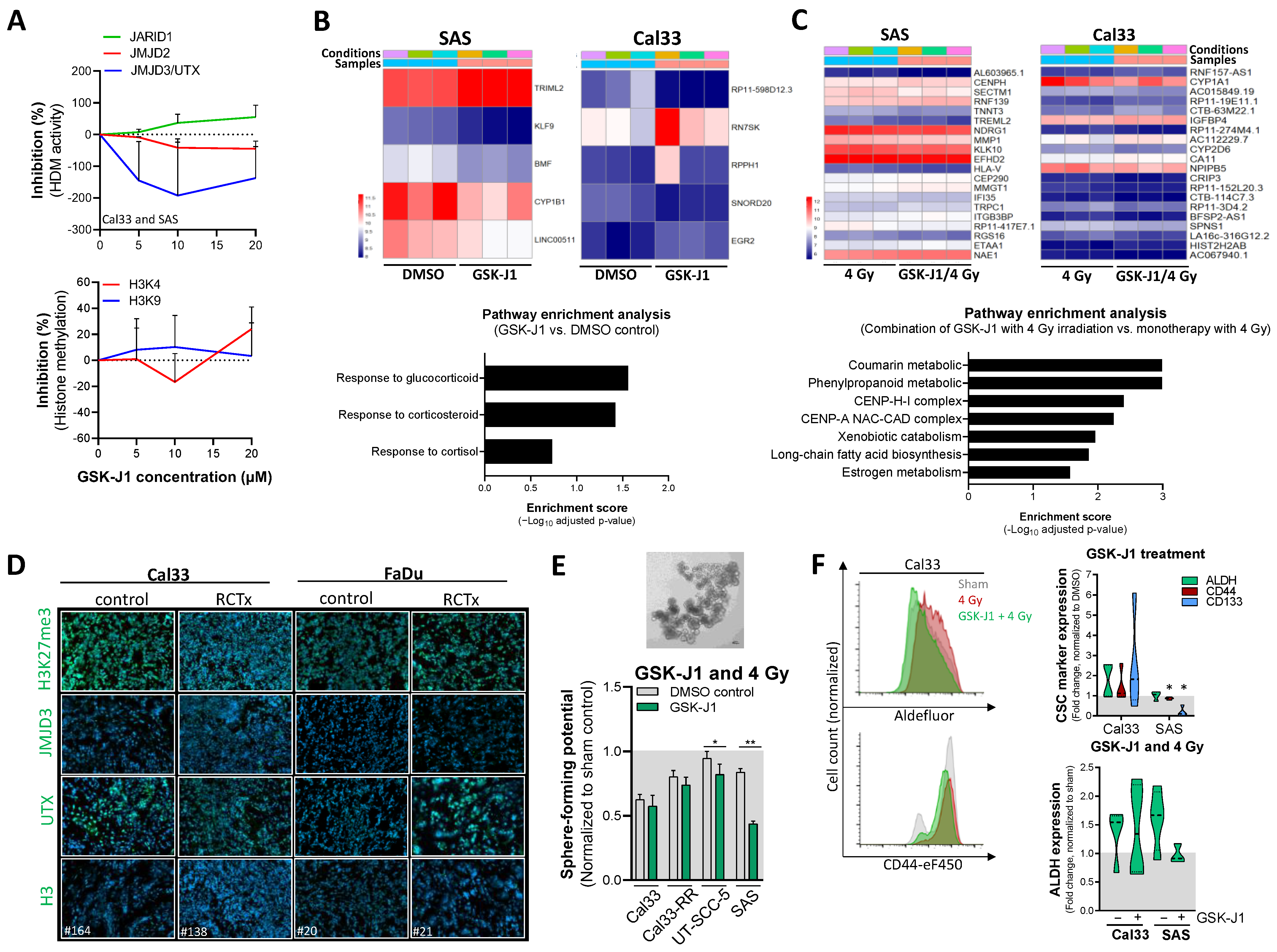 Cancers 16 00730 g004
