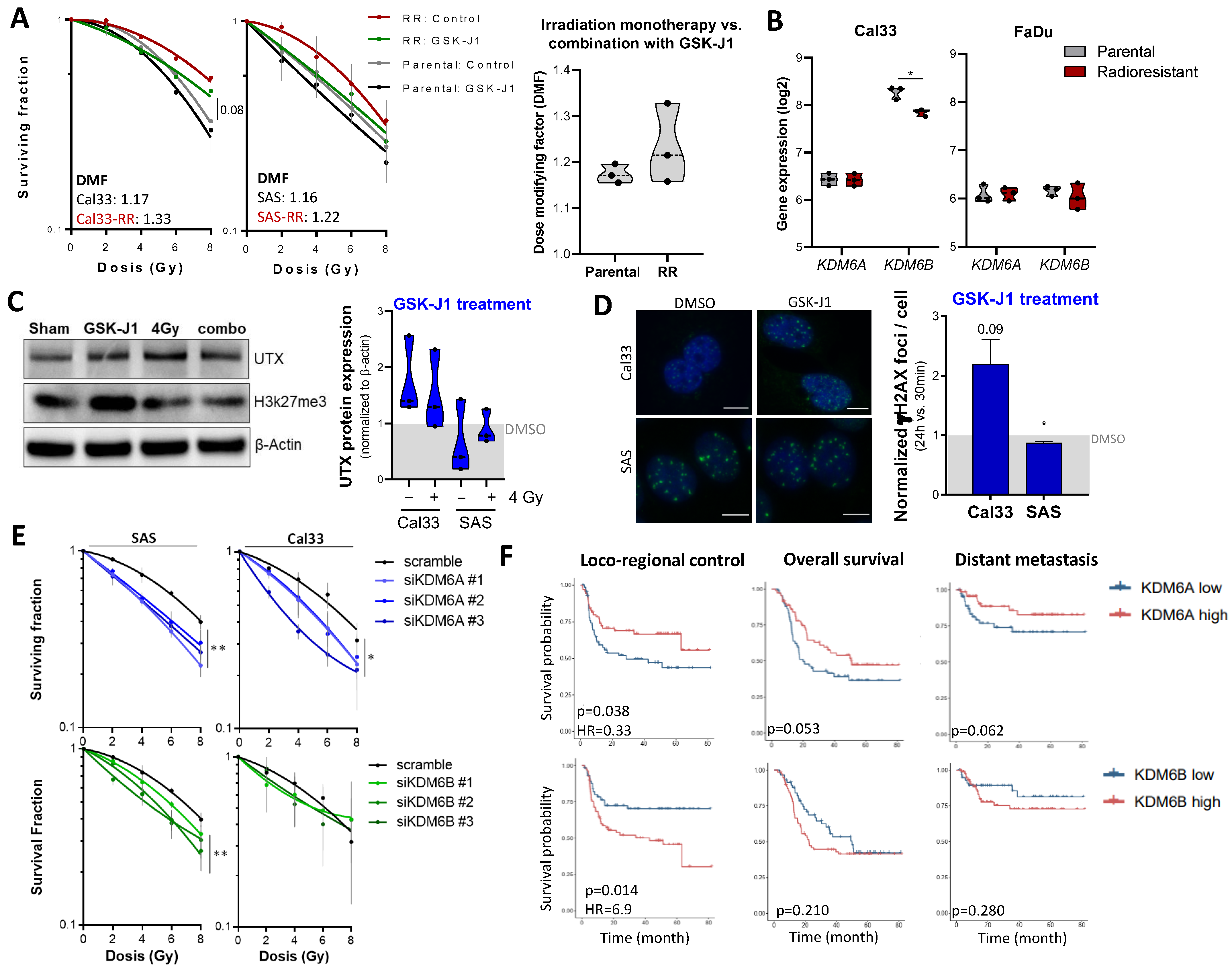 Cancers 16 00730 g005