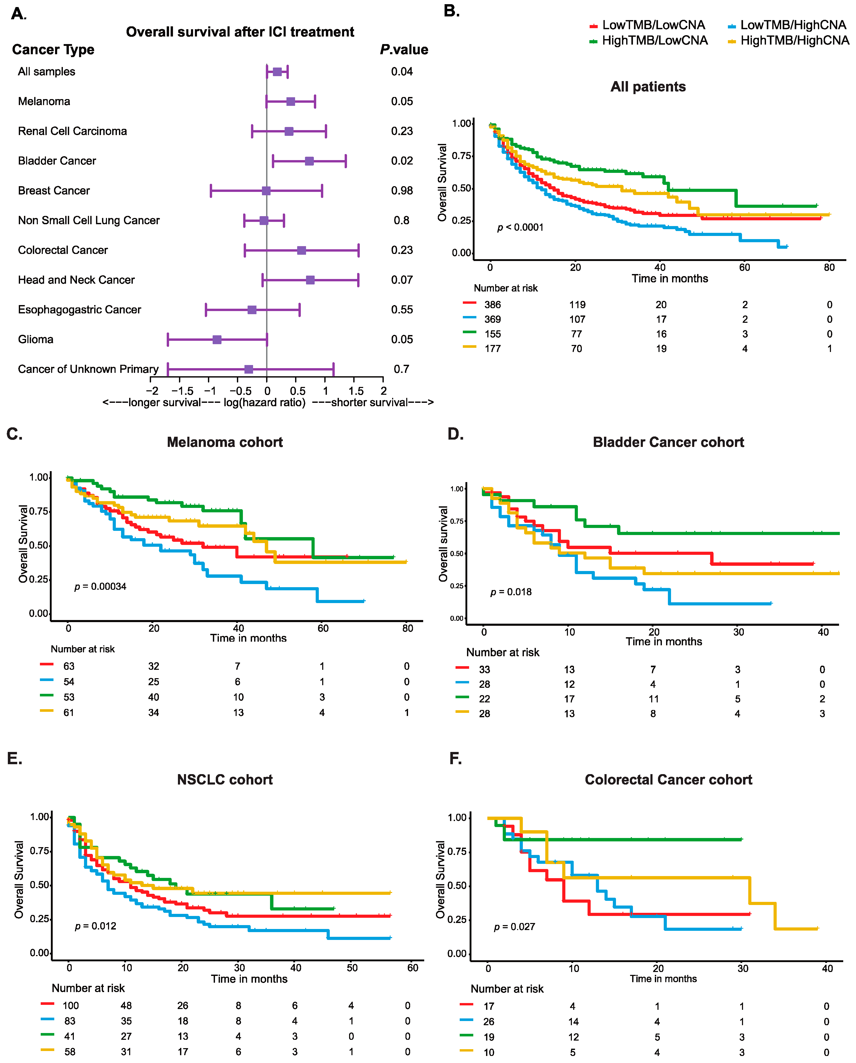 Cancers 16 00732 g002