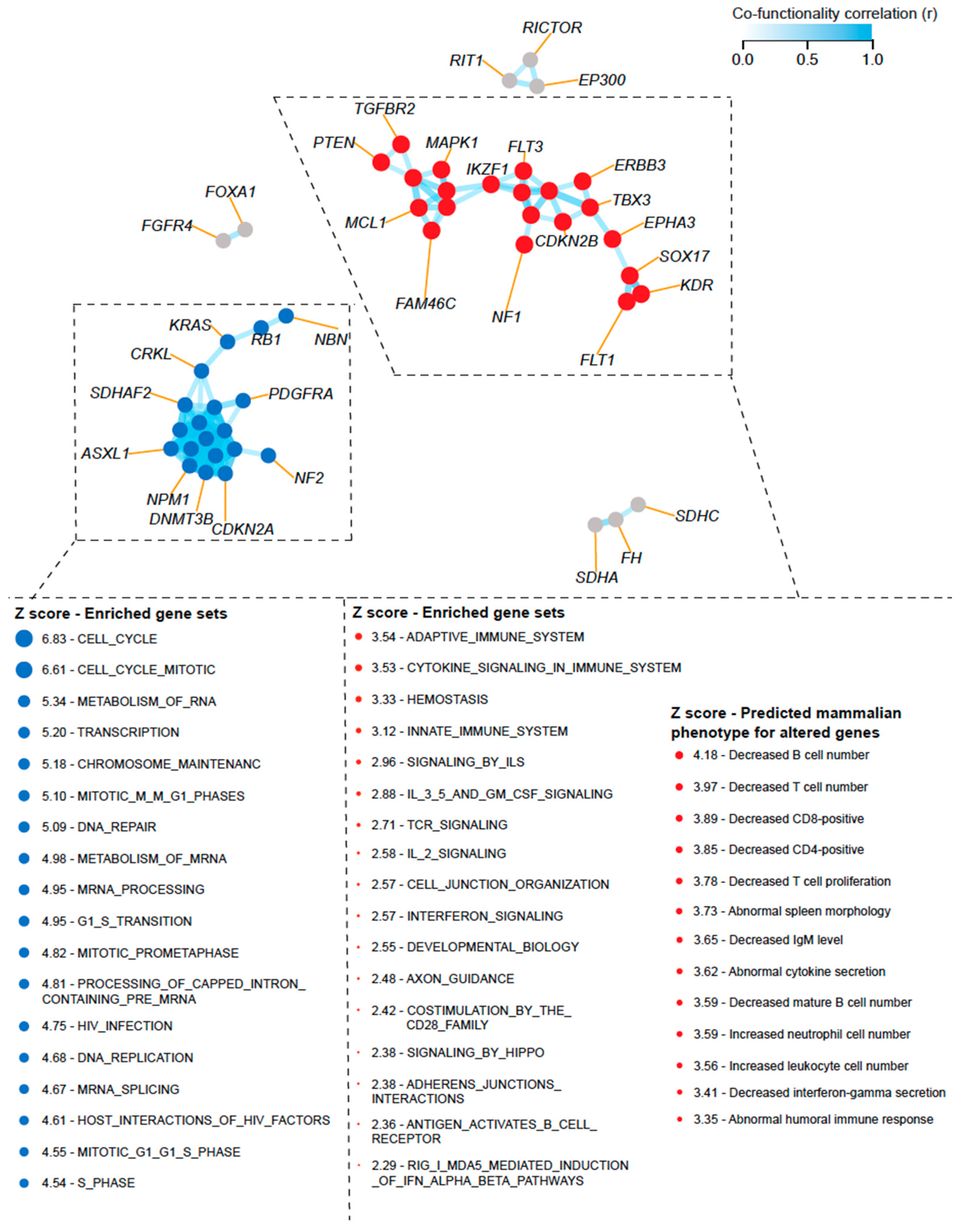 Cancers 16 00732 g004