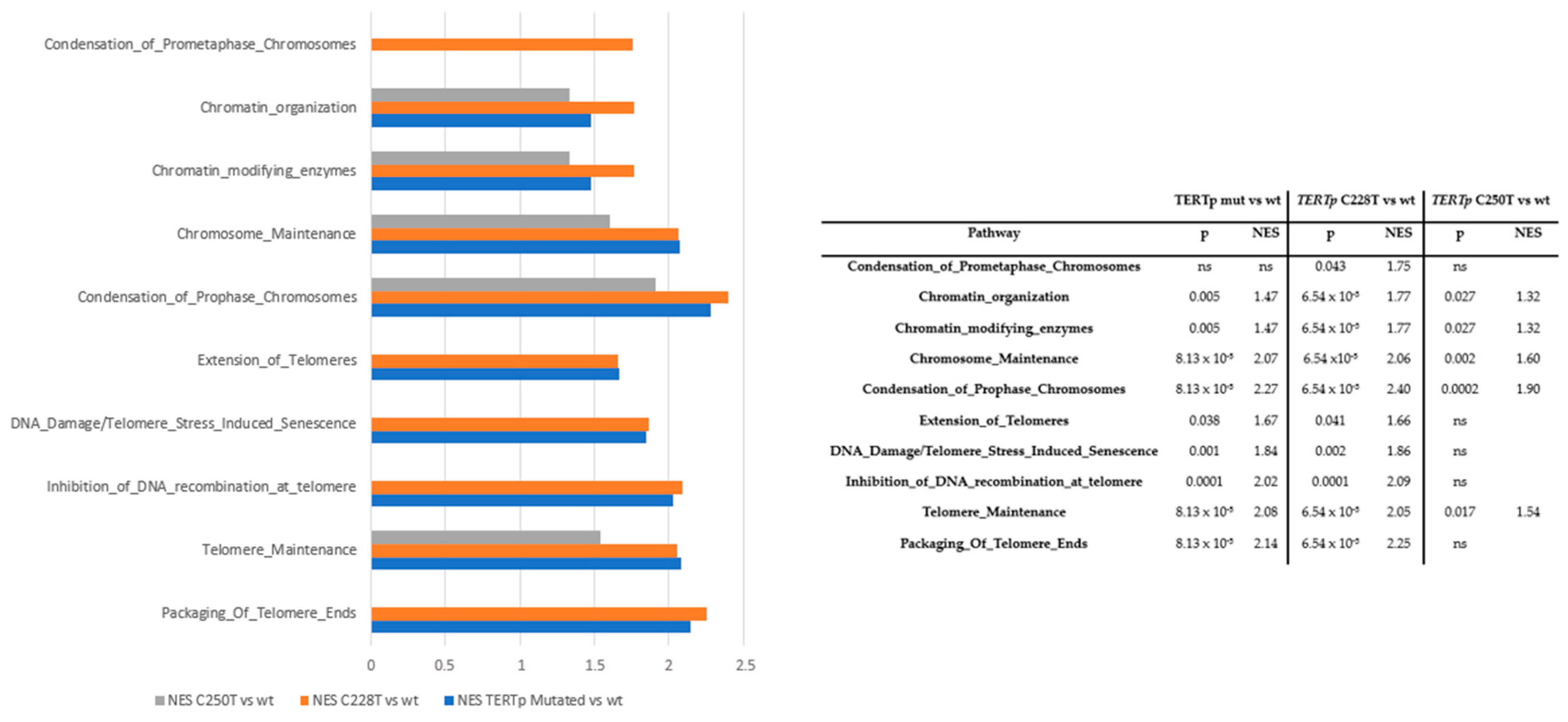 Cancers 16 00735 g003