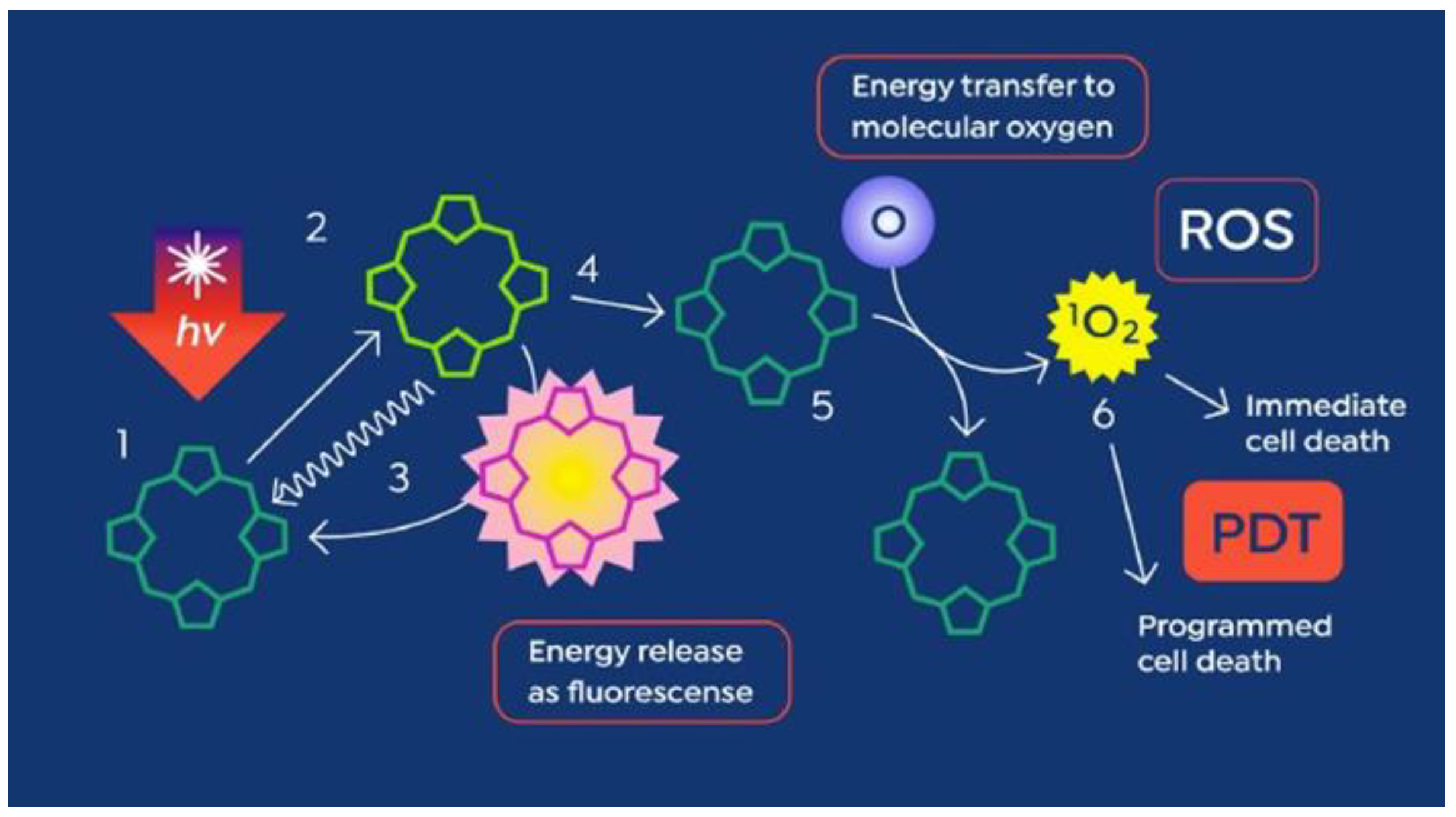 Cancers 16 00740 g002