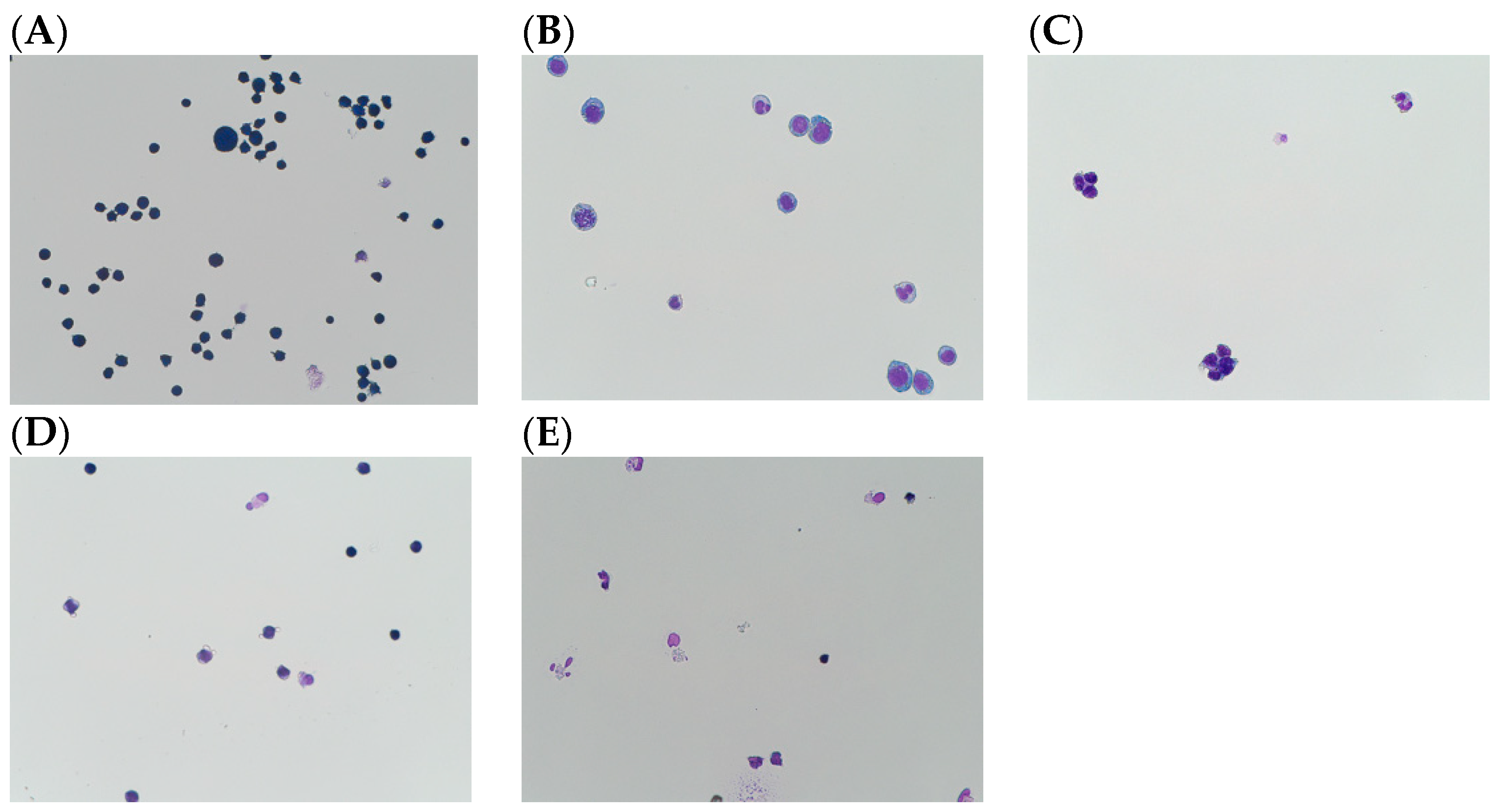 Cancers 16 00747 g001