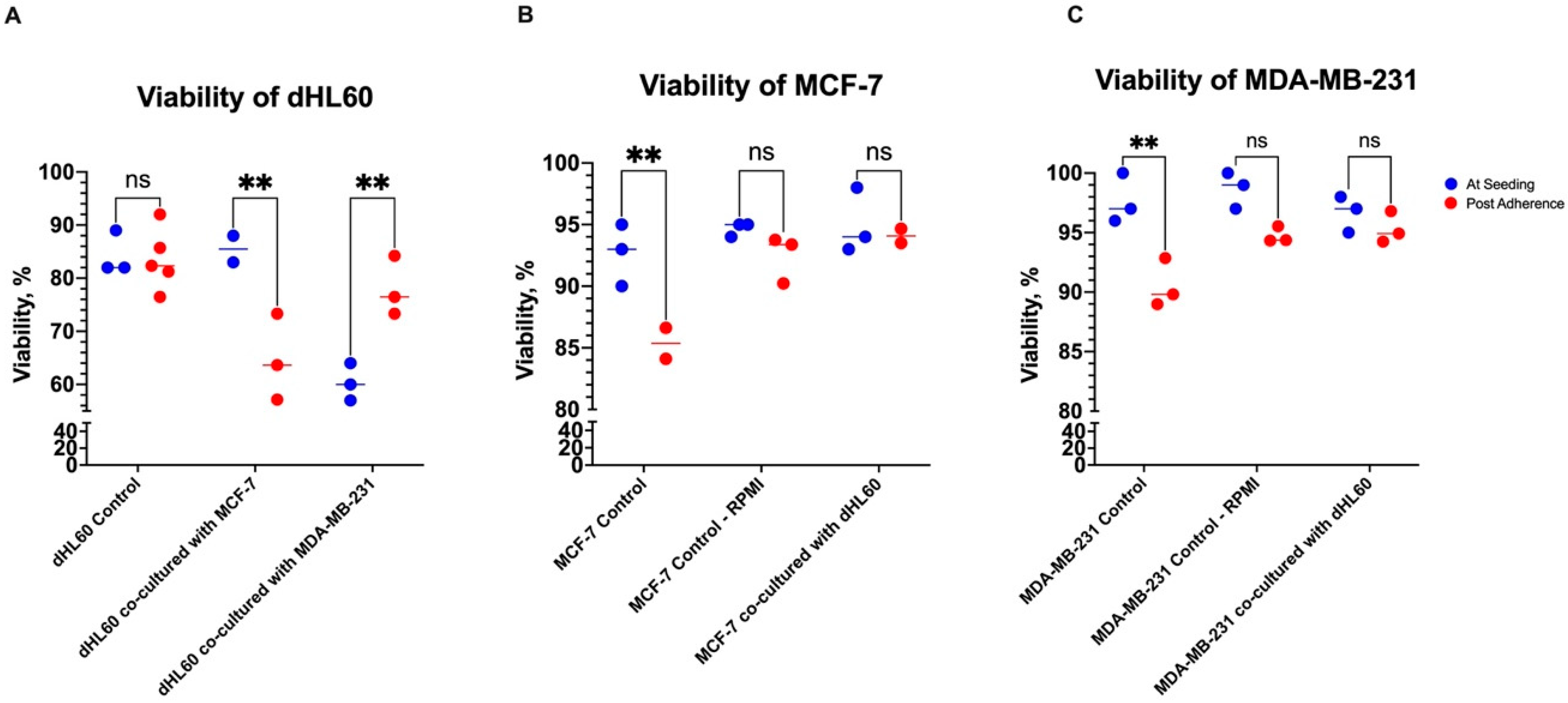Cancers 16 00747 g005