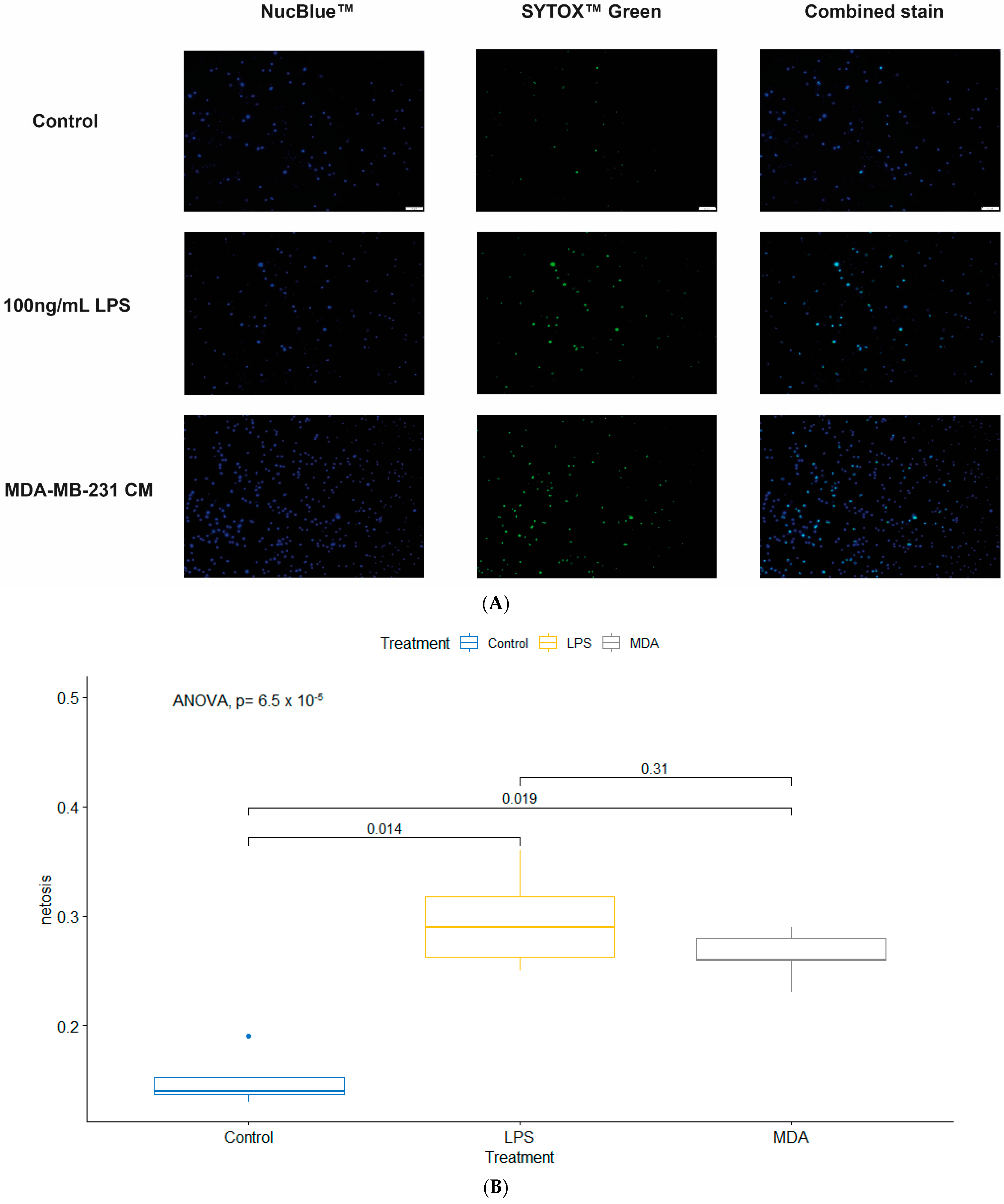 Cancers 16 00747 g006