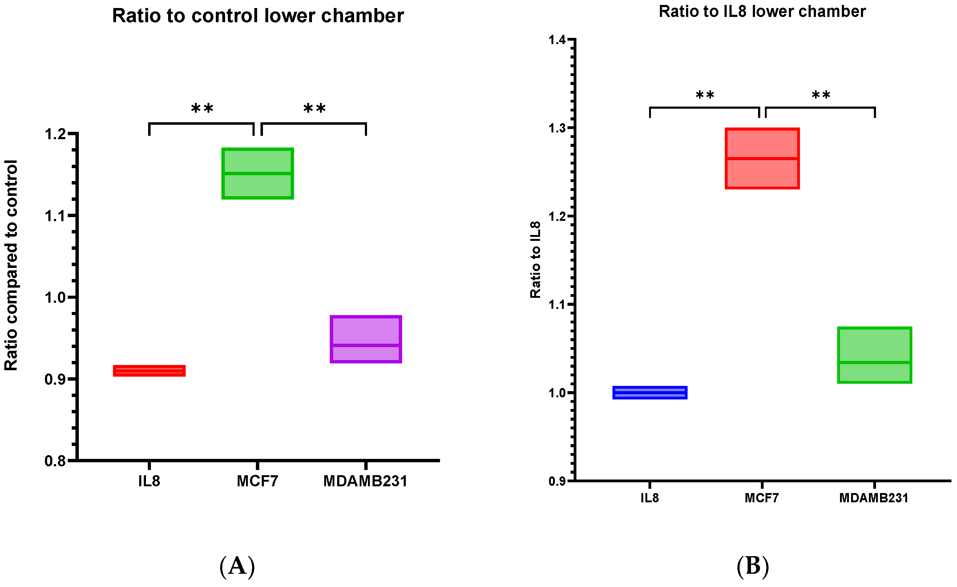 Cancers 16 00747 g016