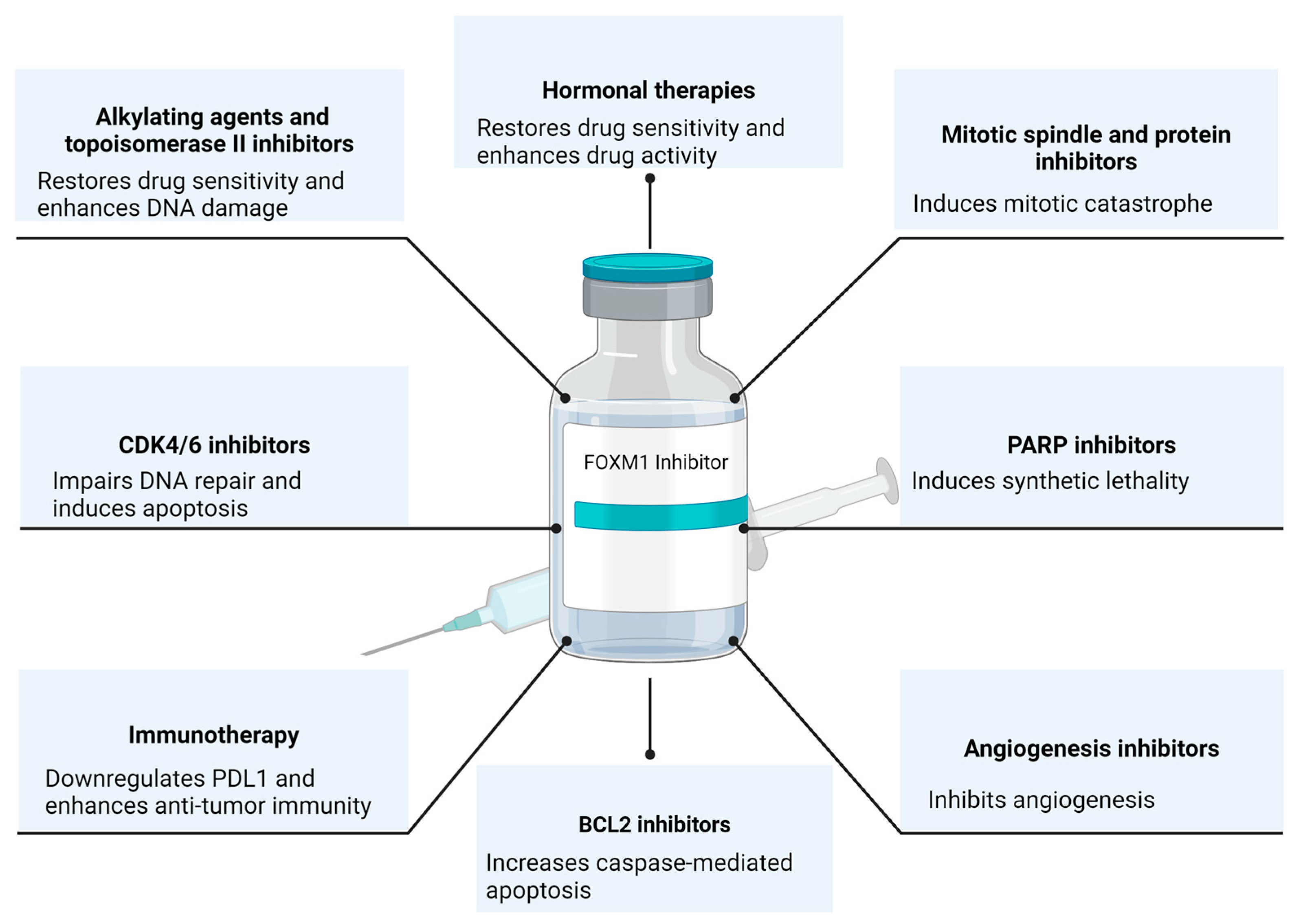 The Promise of Combination Therapies with FOXM1 Inhibitors