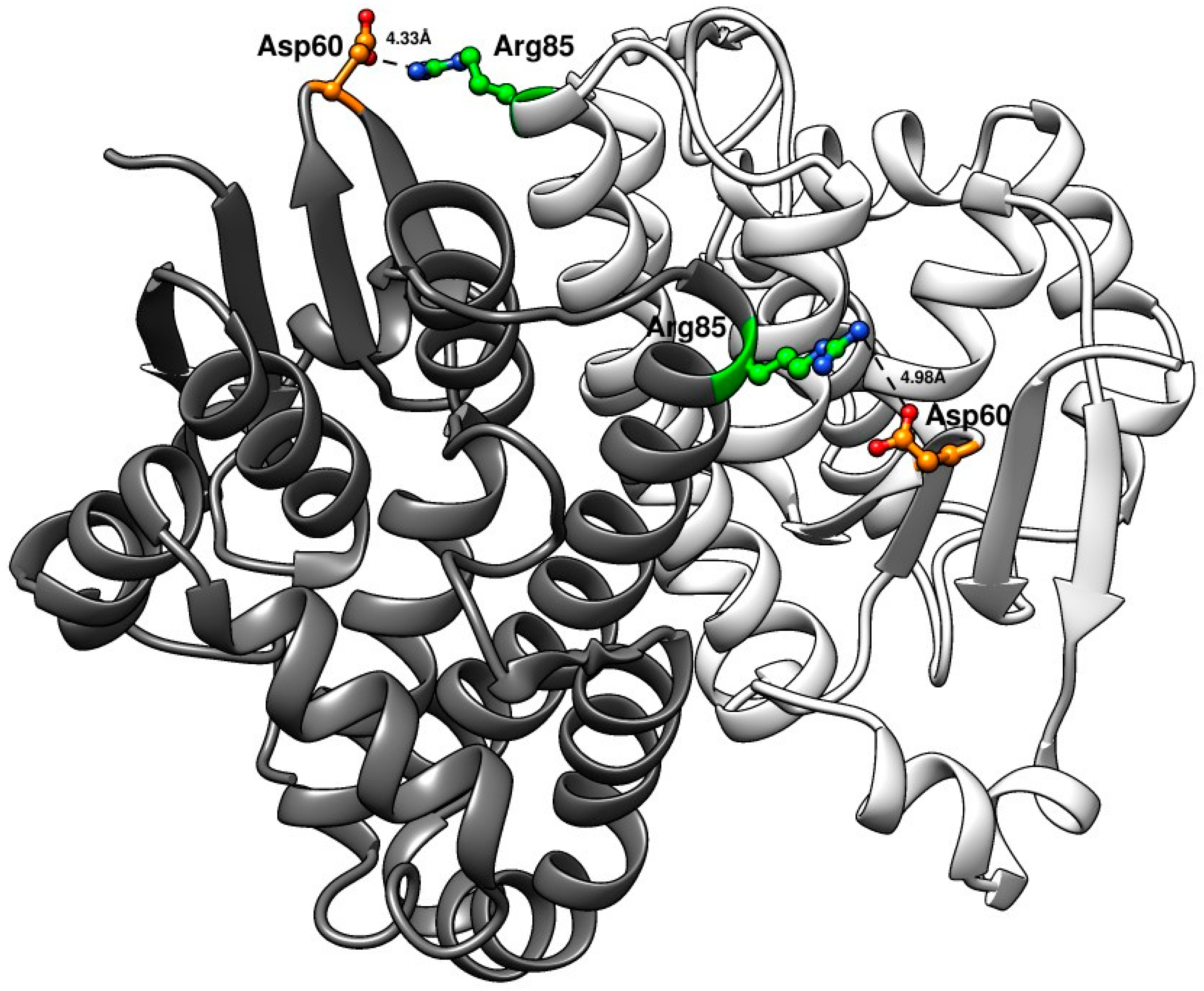 Cancers 16 00762 g007 Cancers 16 00762 g007