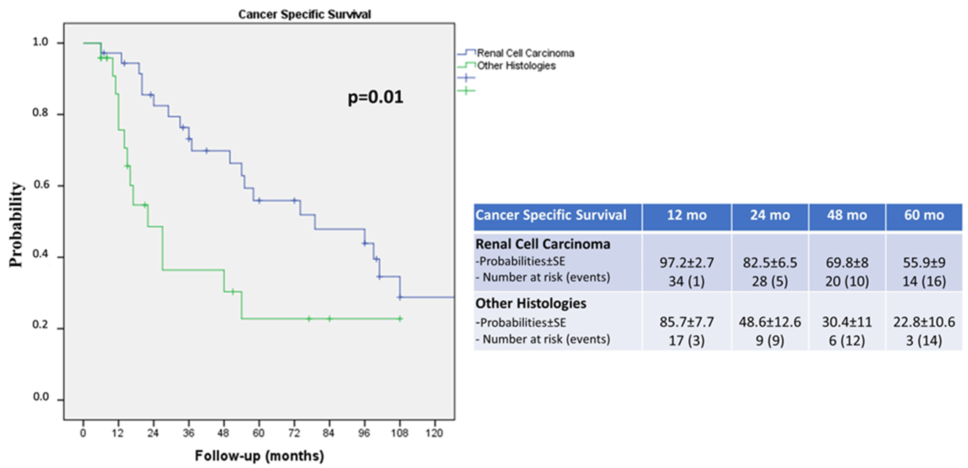 Cancers 16 00763 g002