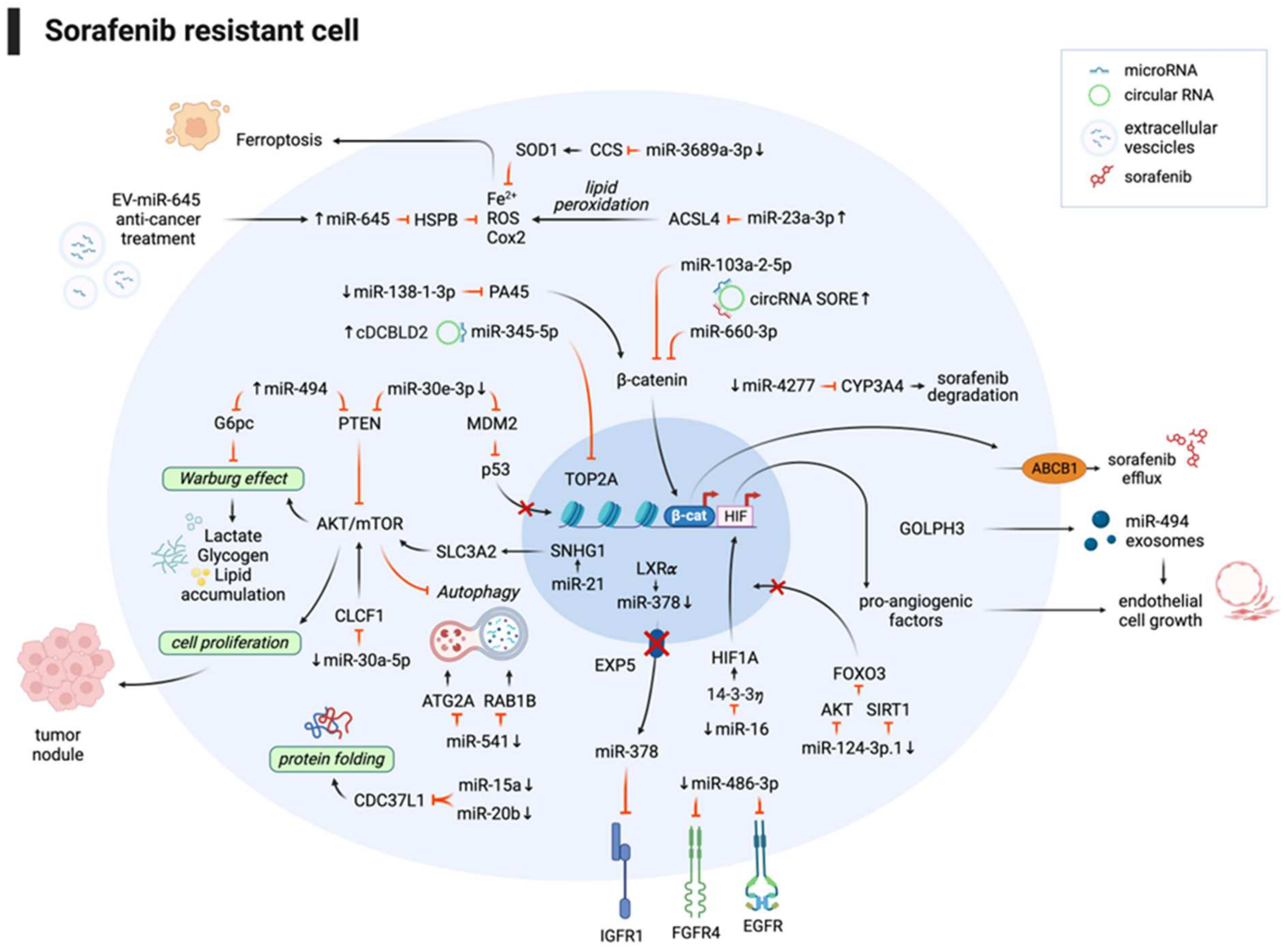 Cancers 16 00766 g001