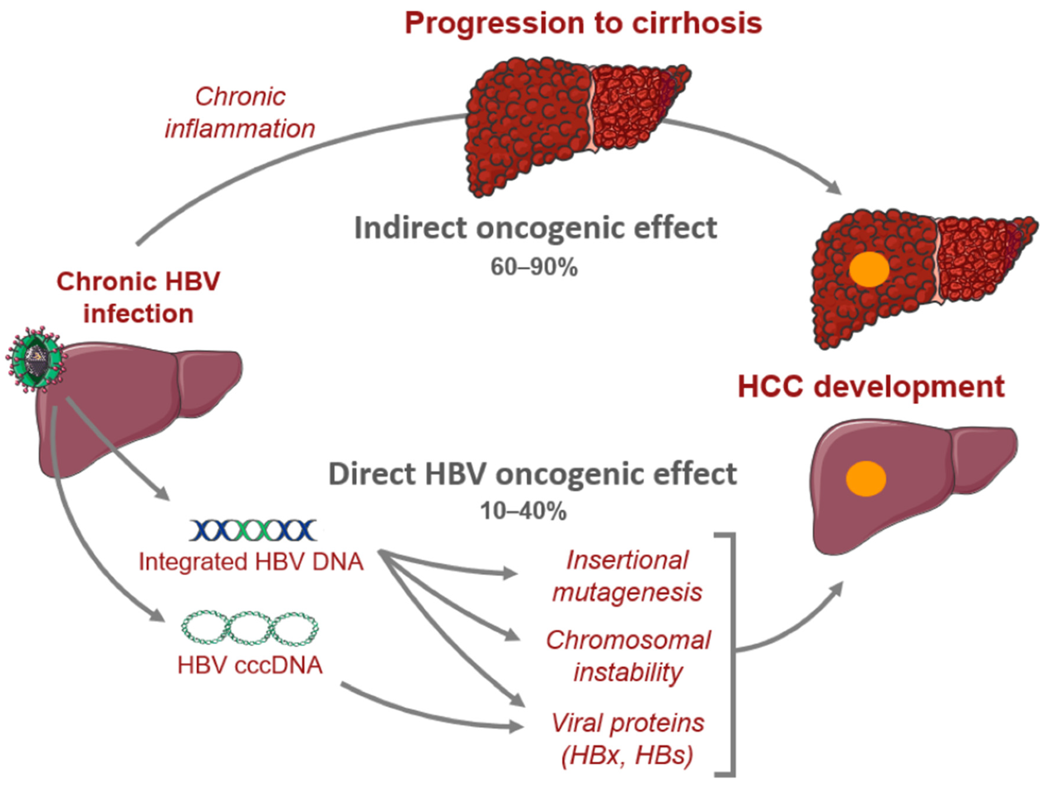 Cancers Free FullText Review of Related Factors for Persistent