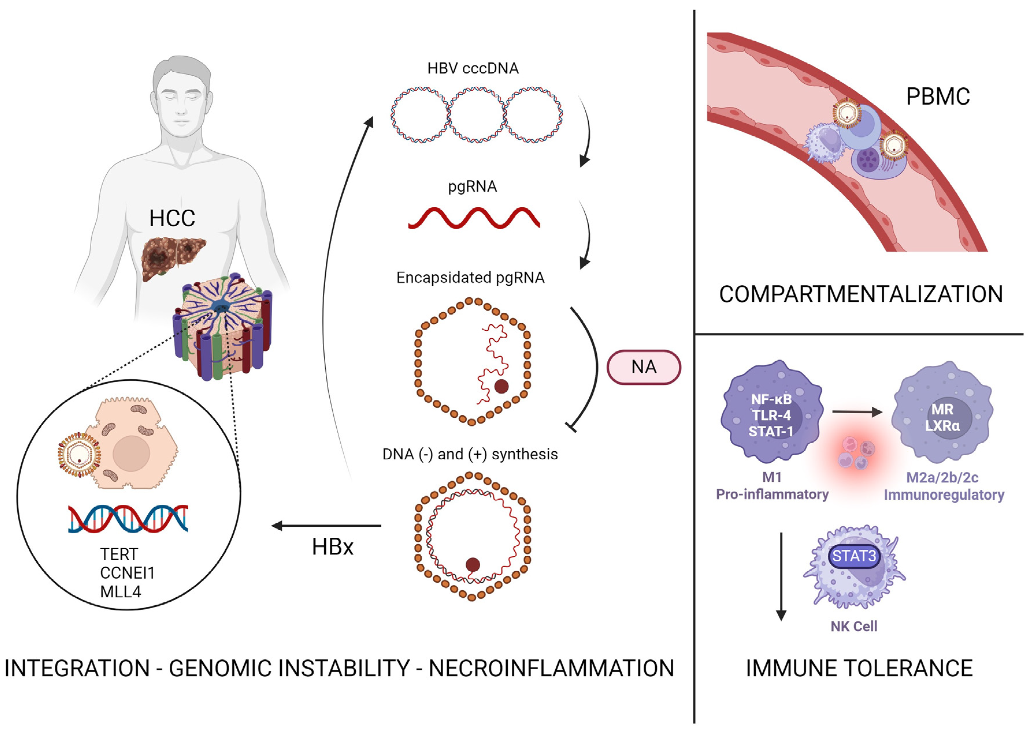 Cancers 16 00777 g003 Cancers 16 00777 g003