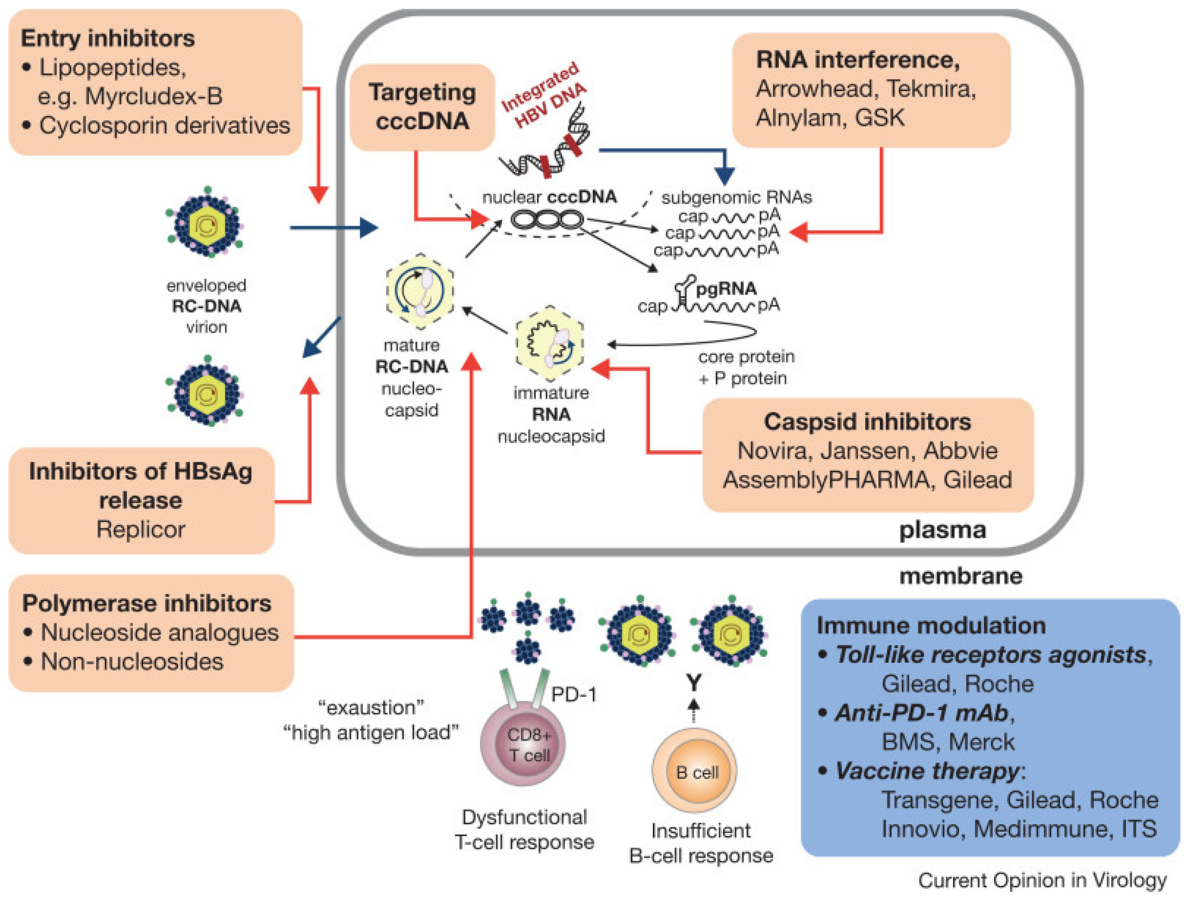 Cancers 16 00777 g006 Cancers 16 00777 g006
