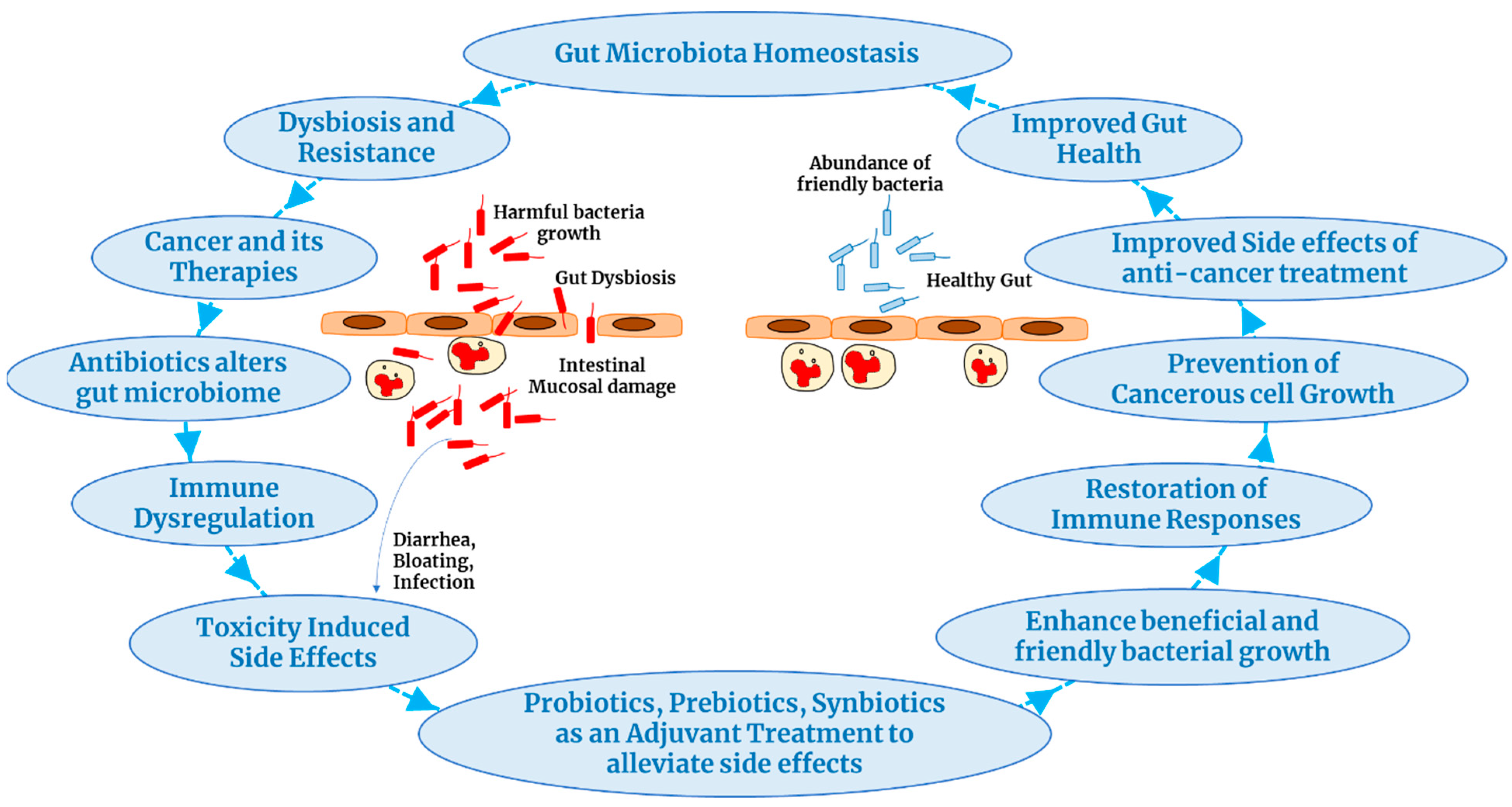 Cancers 16 00779 g001