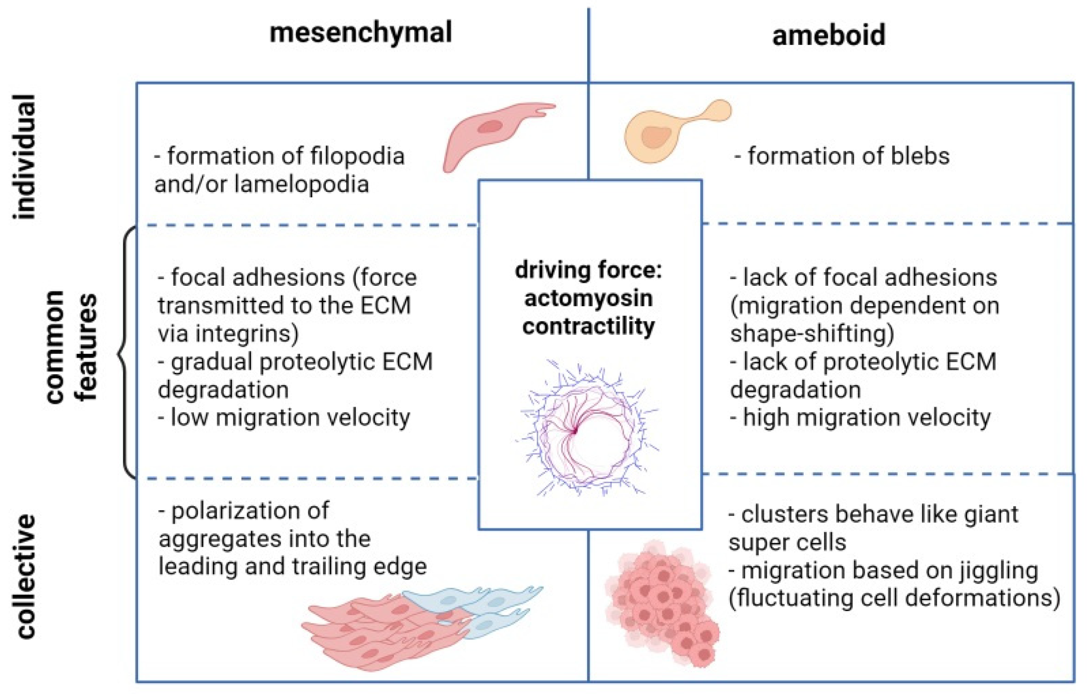 Cancers 16 00783 g002