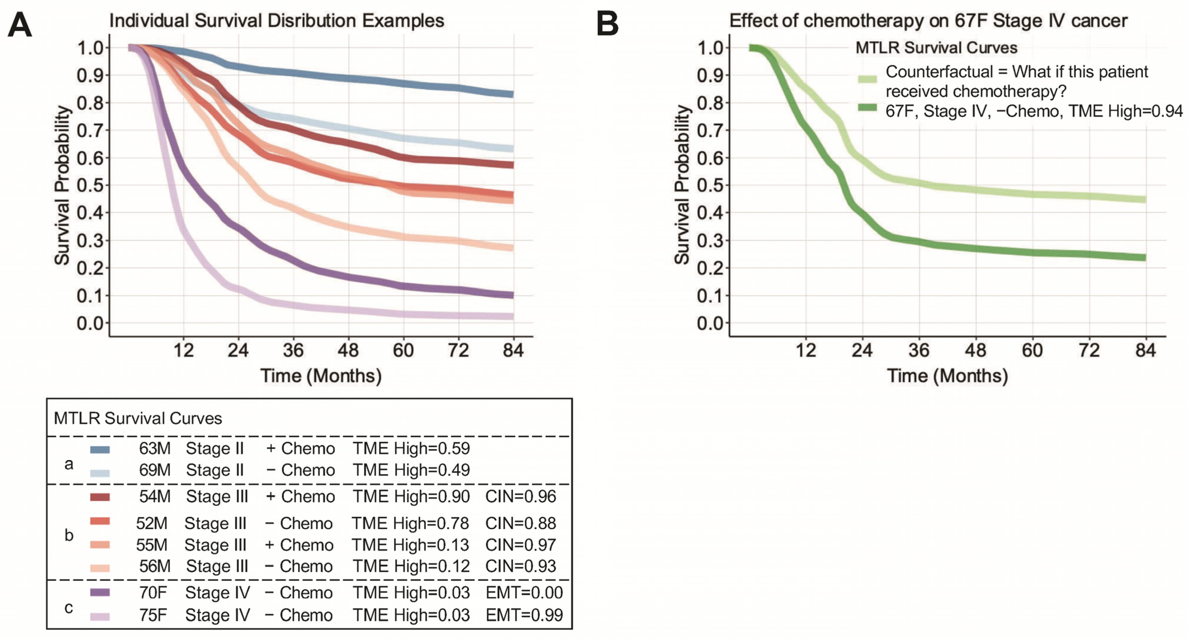 Cancers 16 00786 g002